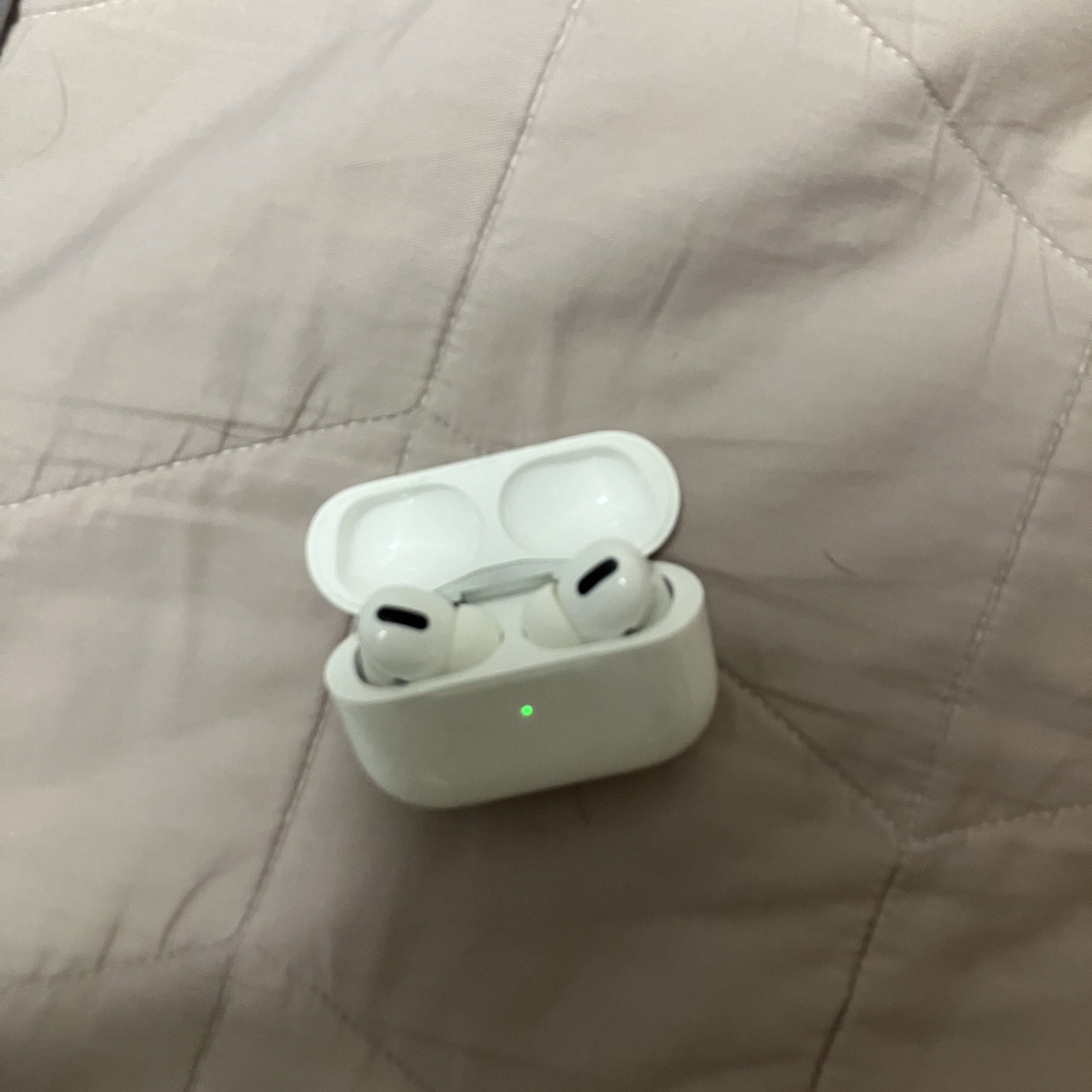 Apple AirPods Pro (Korean Ver.) 착용 스타일