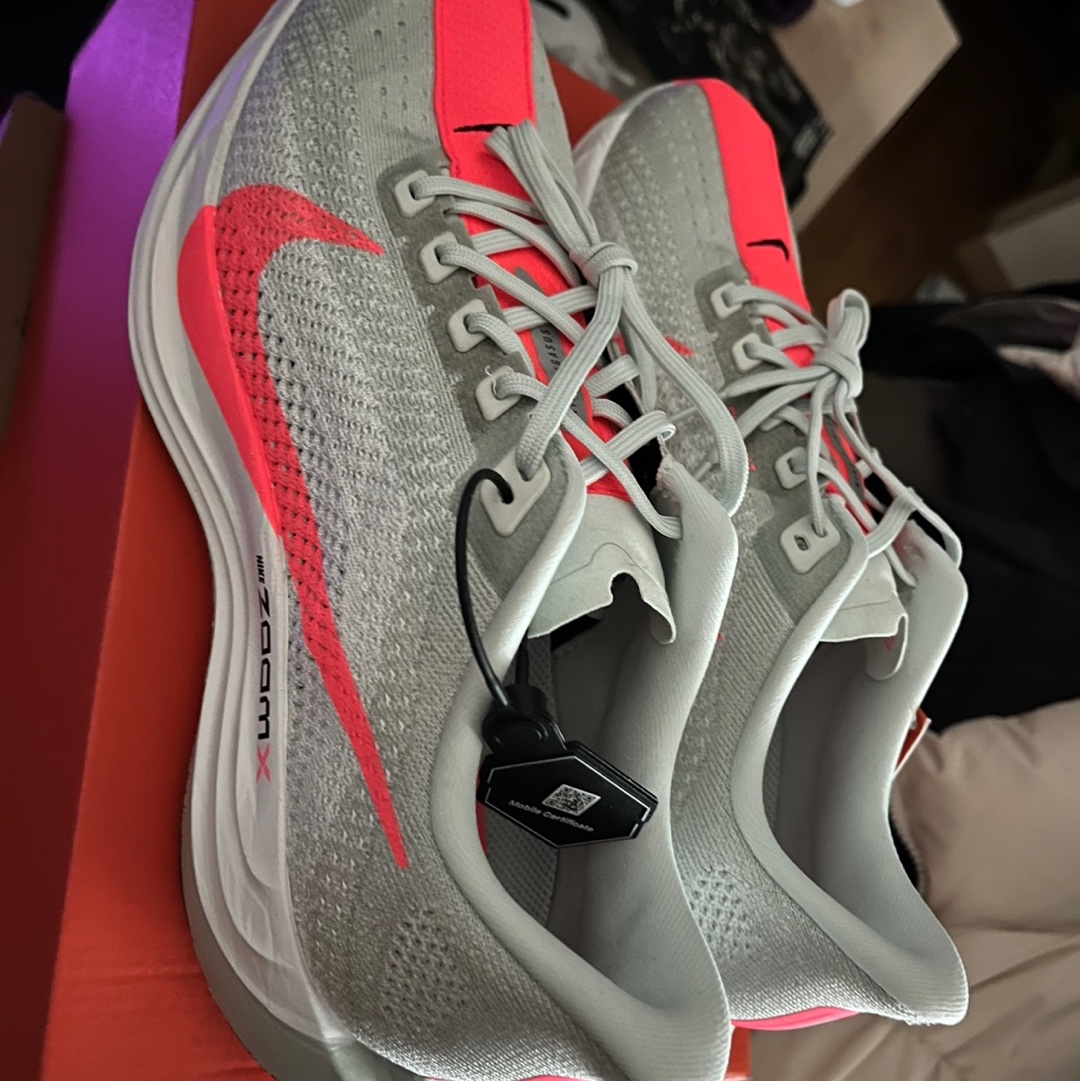 Nike Pegasus Plus Barely Grey Hot Punch 착용 스타일 - 3