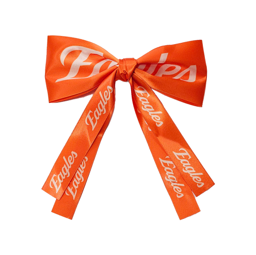 FHWGGD27999 Hanwha Eagles Ribbon Hair Clip Orange