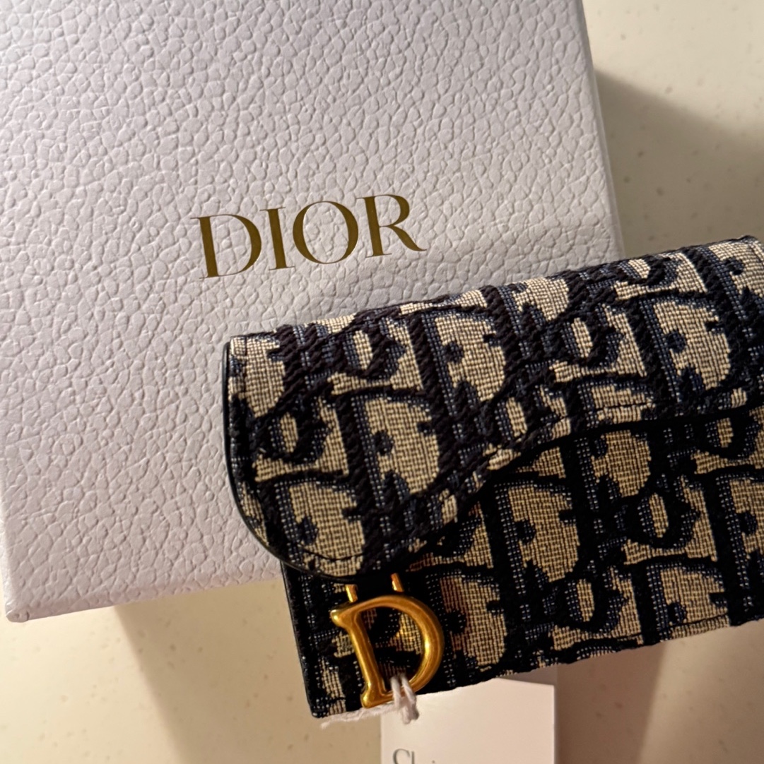 Dior Saddle Flap Card Holder Blue Dior Oblique Jacquard 착용 스타일