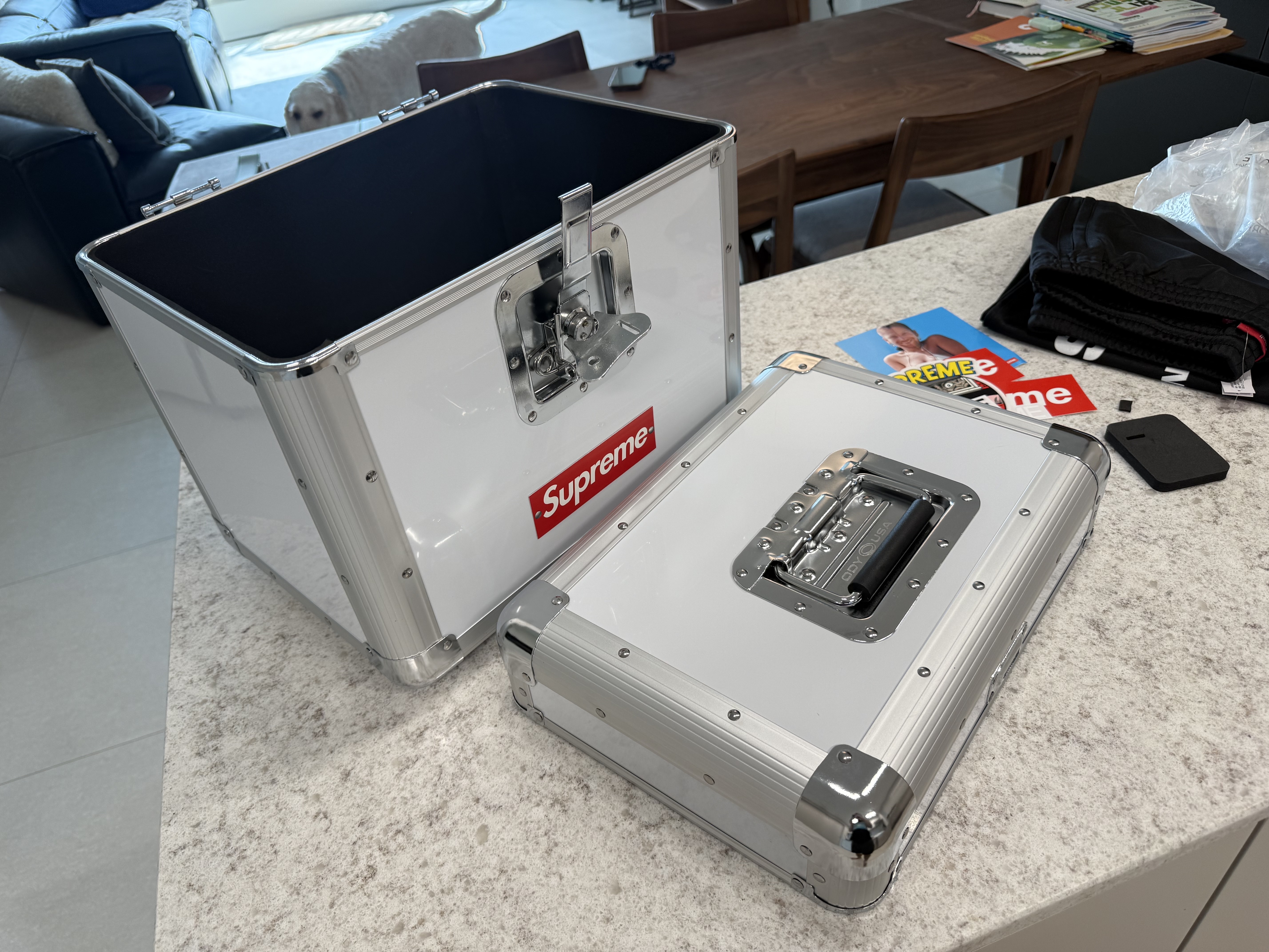 Supreme x Odyssey Record Case White - 25SS, Adoy Vivid LP Pink 착용 스타일 - 6