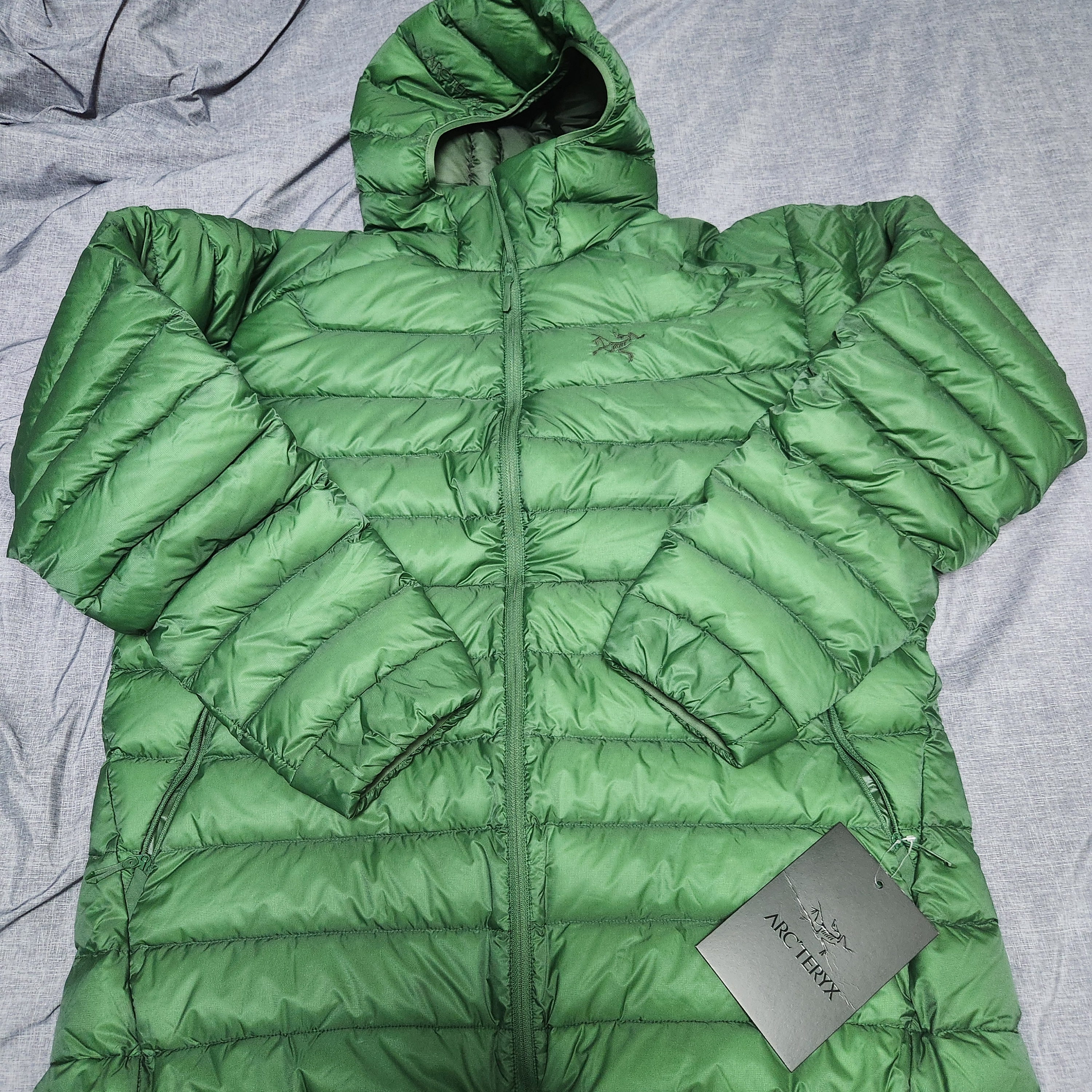 Arc'teryx Cerium Hoody Eden 착용 스타일