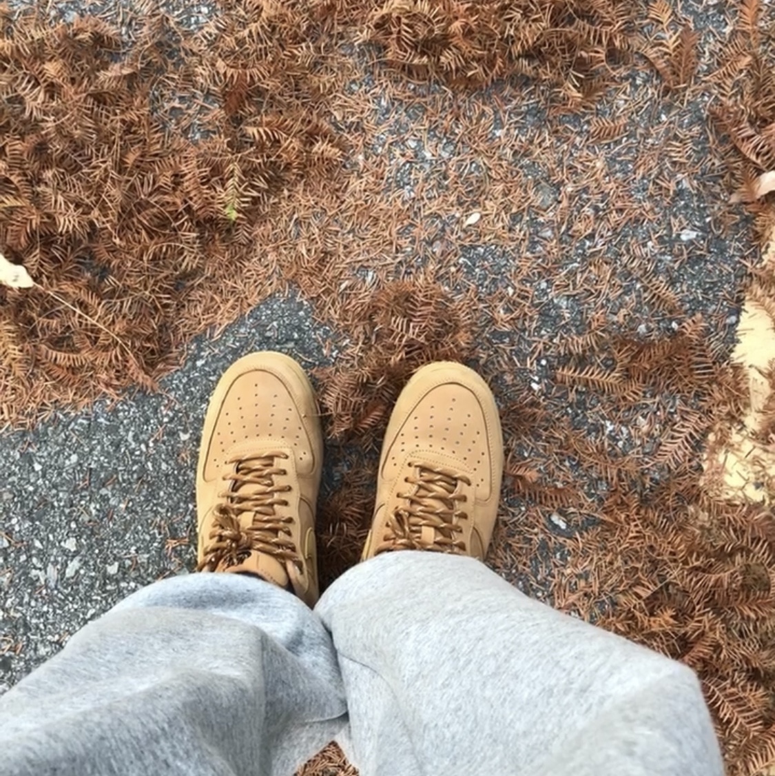Nike Air Force 1 '07 WB Flax 착용 스타일 - 3