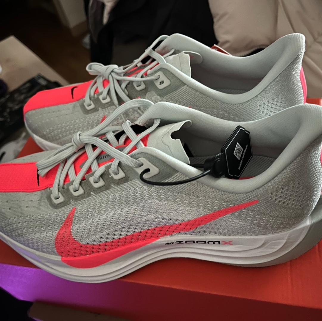 Nike Pegasus Plus Barely Grey Hot Punch 착용 스타일 - 2
