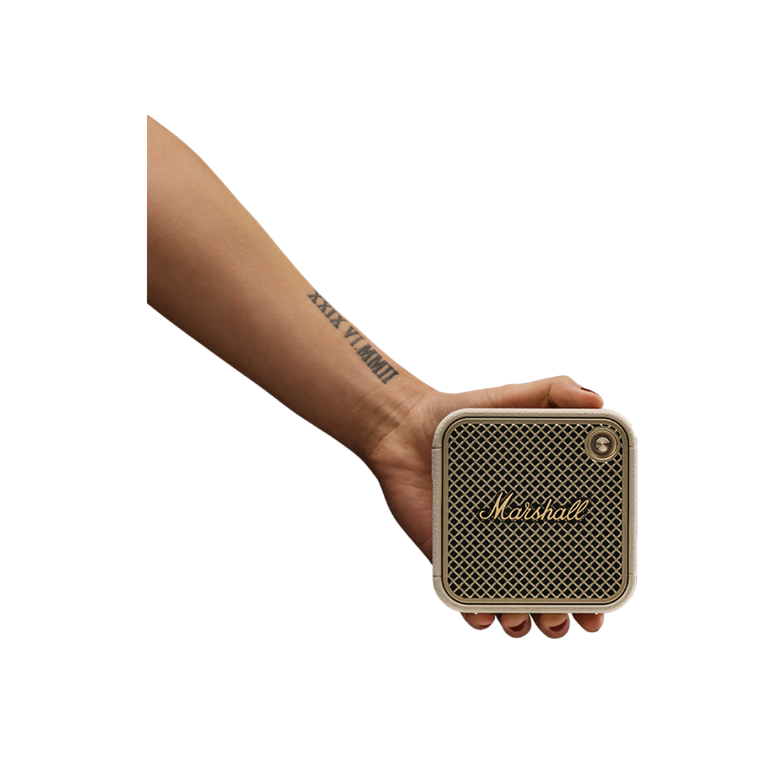 WILLEN 2-CR Marshall Willen II Cream (Sovico AV Ver.) - #4