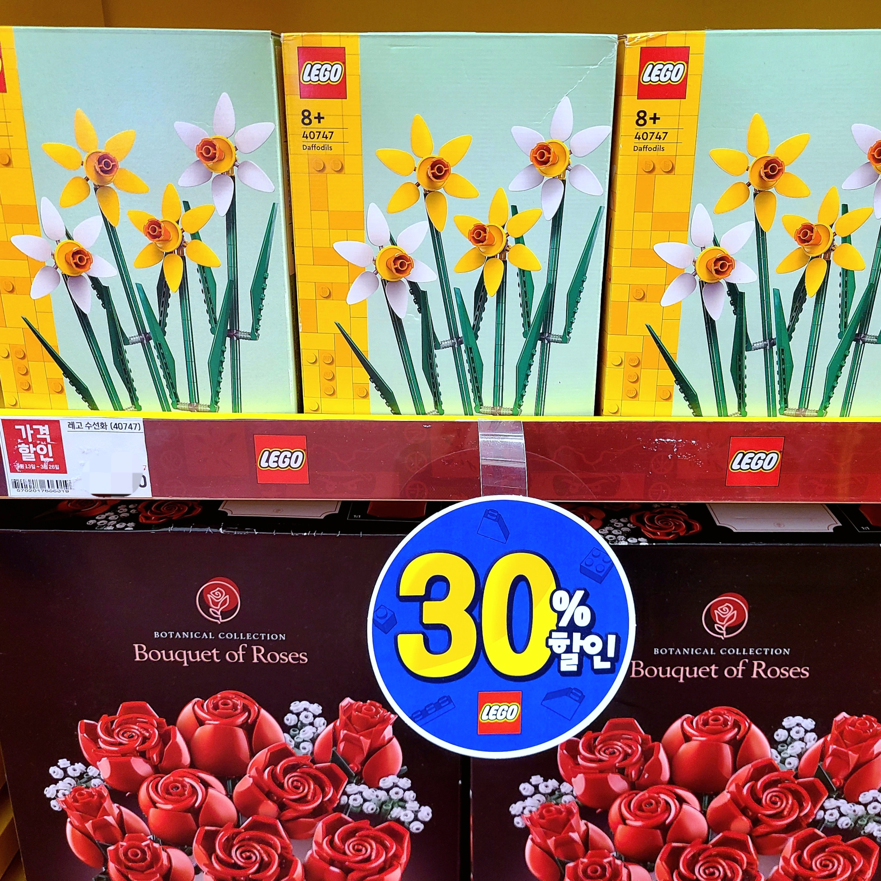 Lego Disney Up House, Lego Bouquet of Roses 착용 스타일 - 4