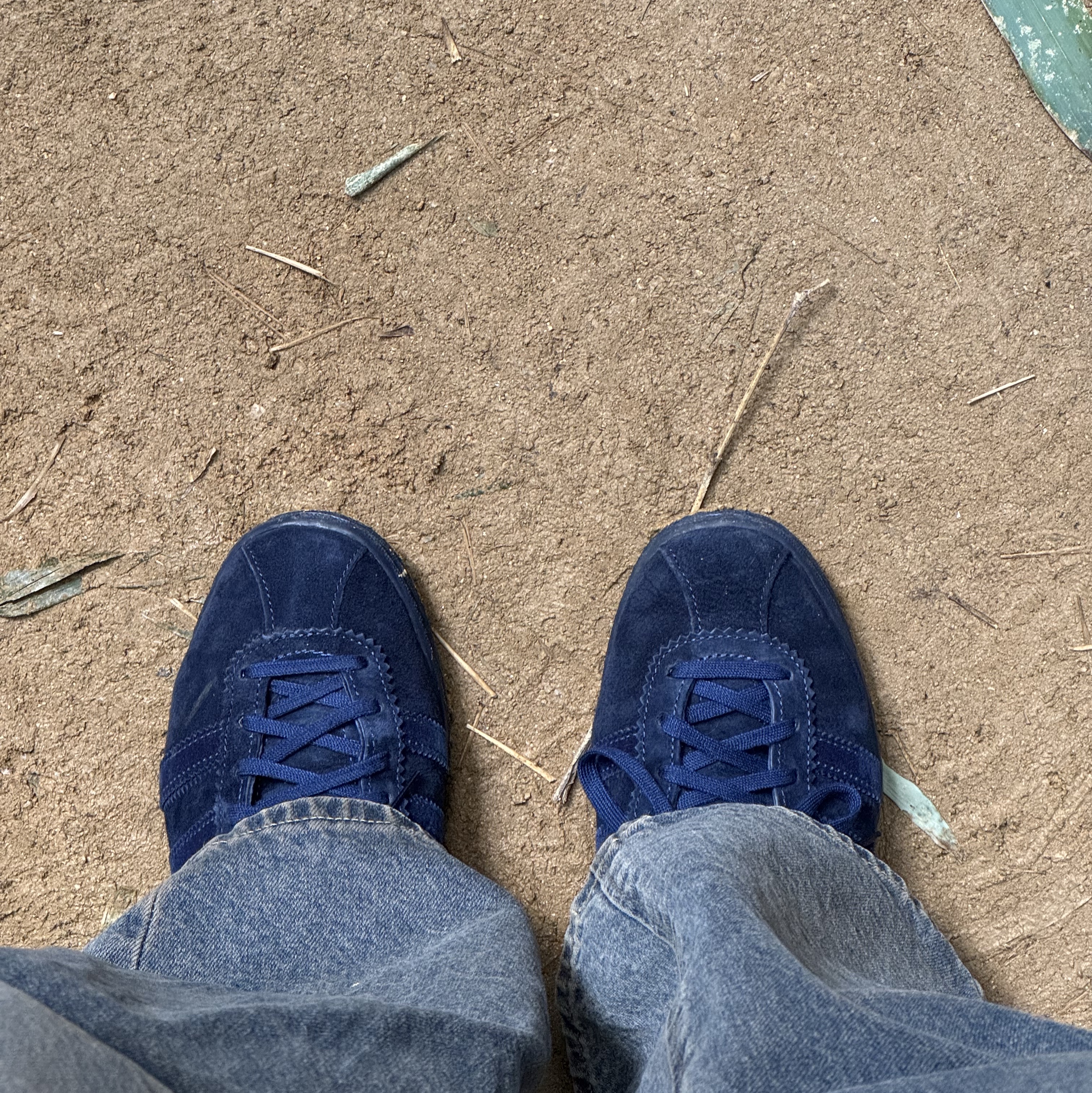 Adidas Tobacco Night Indigo 착용 스타일