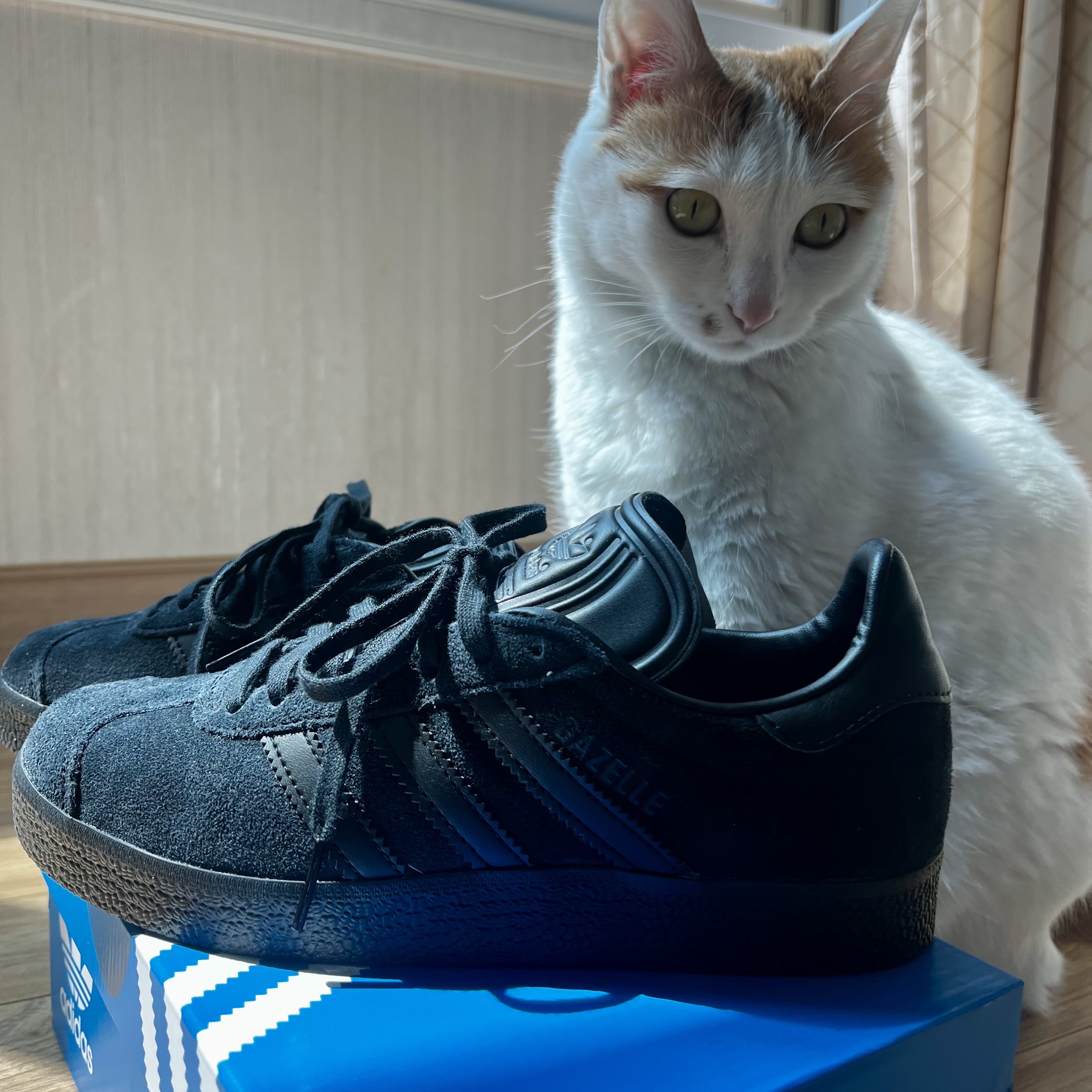 Adidas Gazelle Triple Black 착용 스타일
