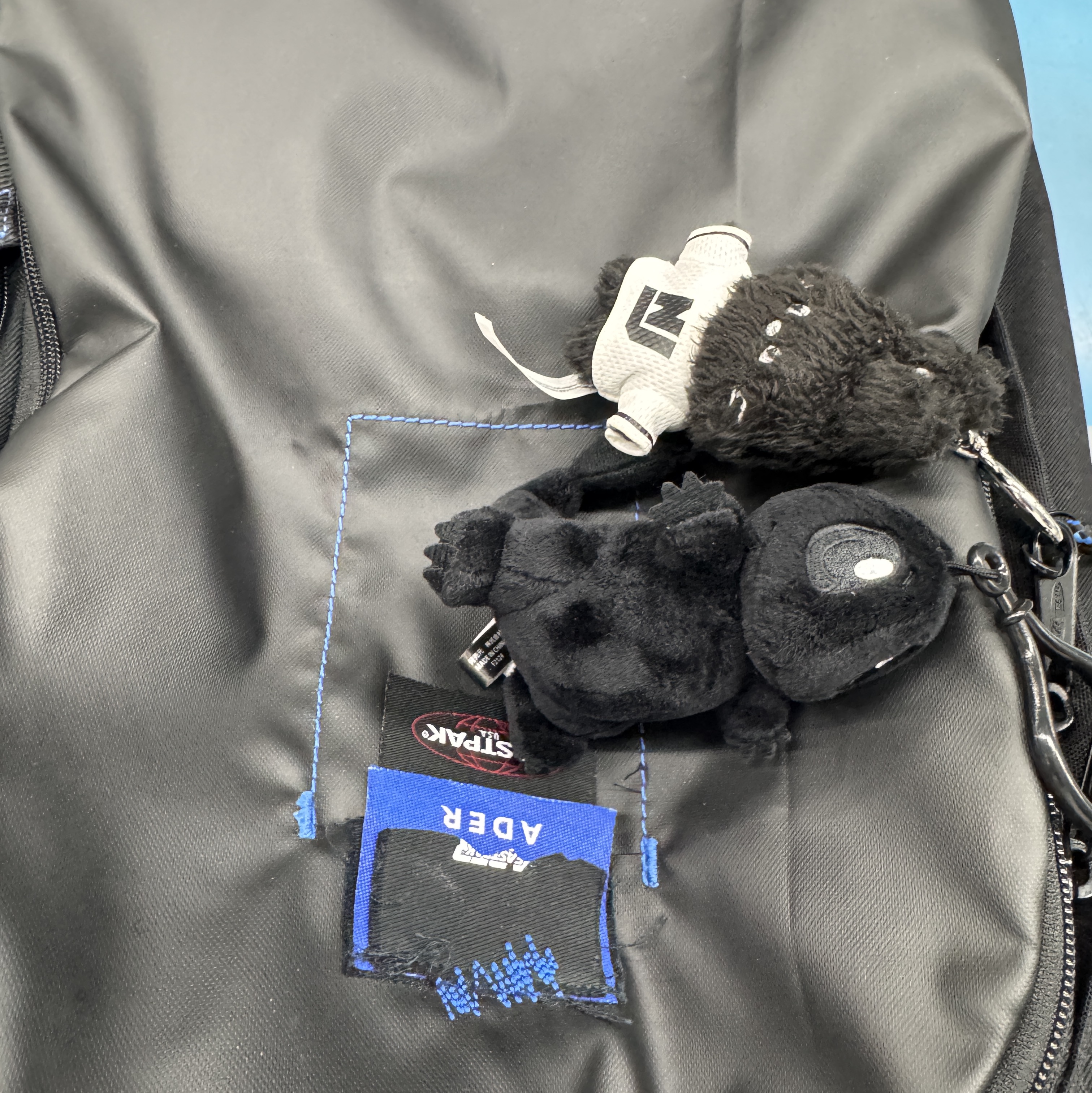 Fragment x Pokemon INN Thunderbolt Project TBP Mascot Key Ring Hitokage Black, Ader Error x Eastpak Pak’r Backpack Black 착용 스타일