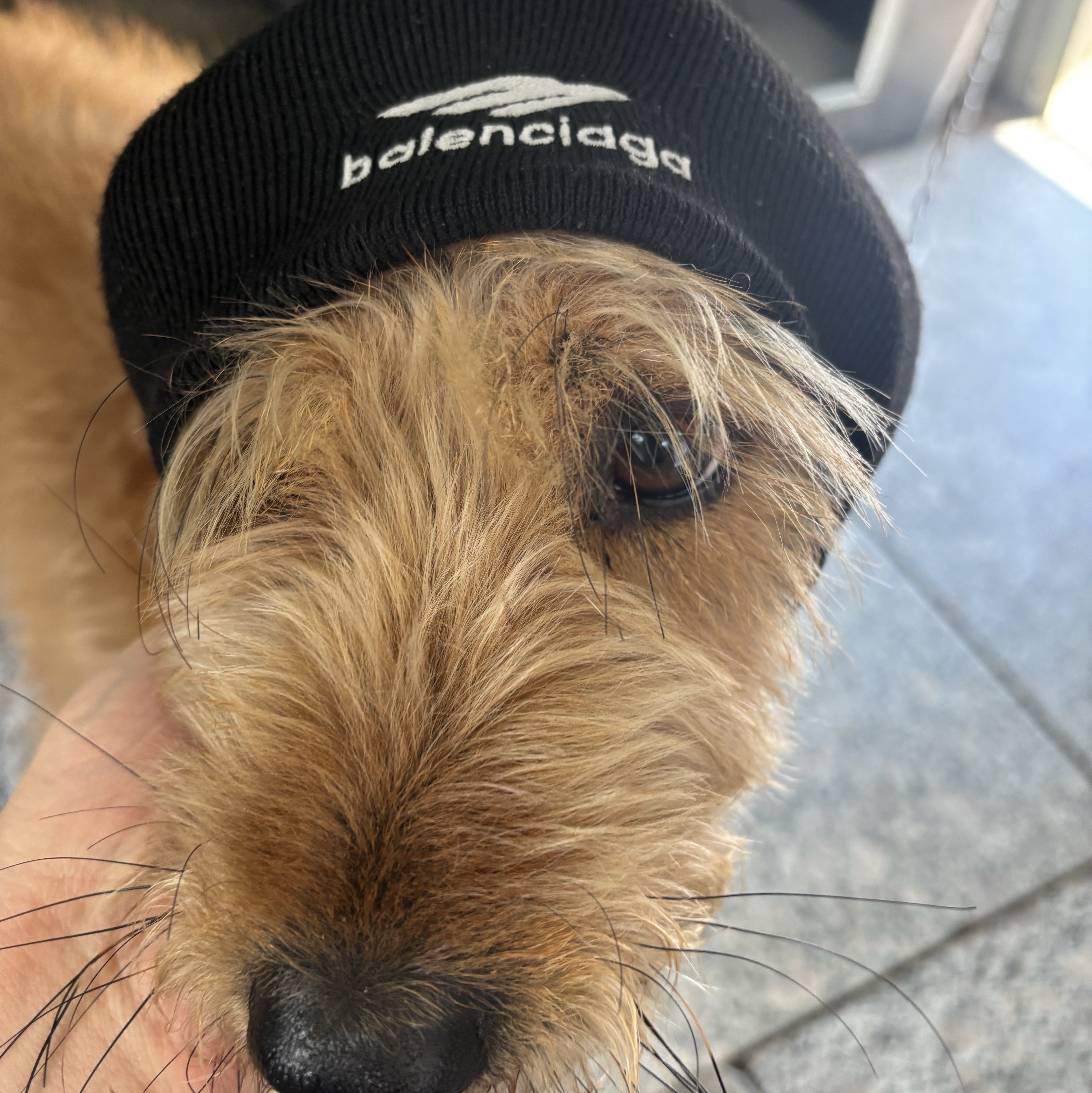 Balenciaga Skiwear 3B Sports Icon Beanie Black 착용 스타일 - 1
