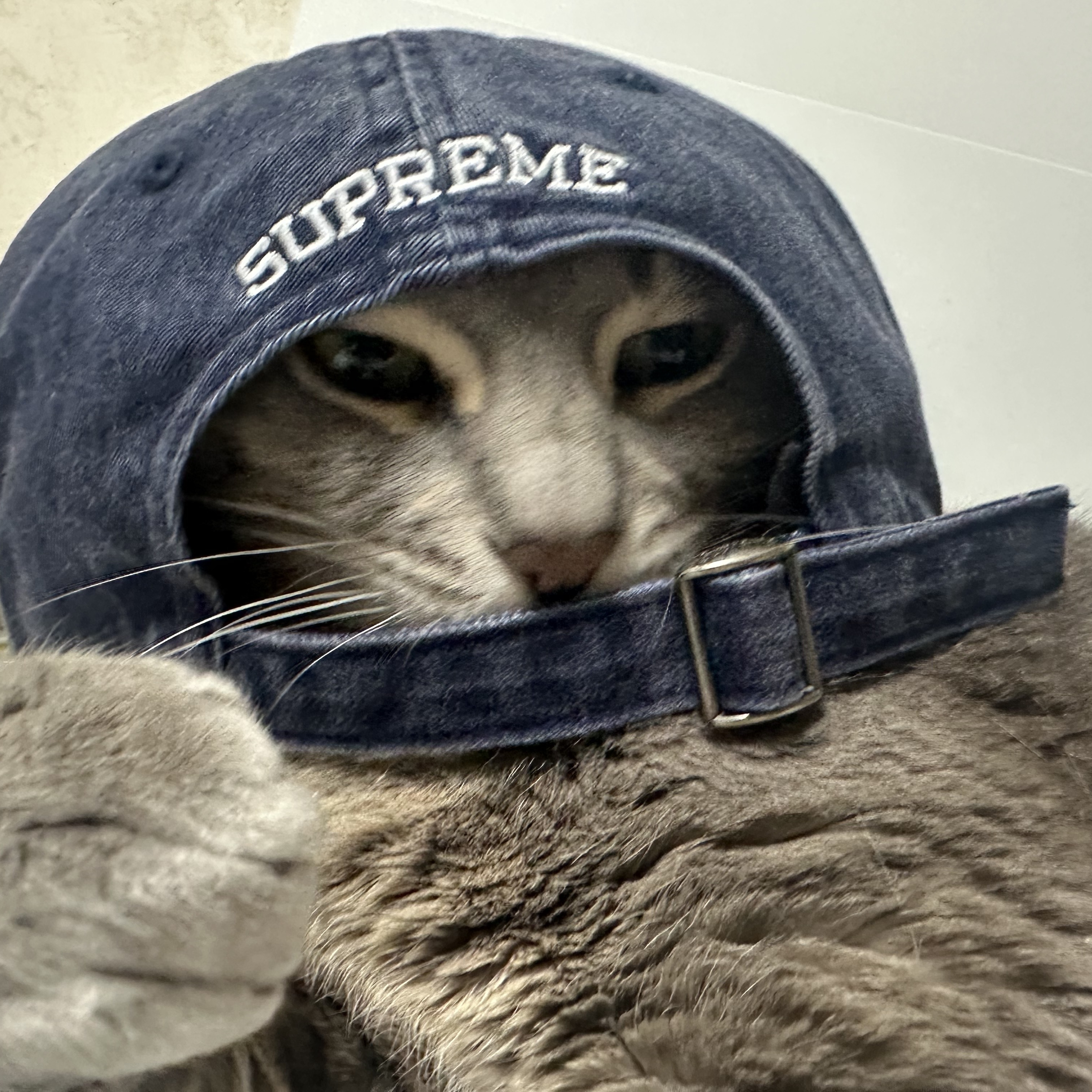 Supreme Pigment Print S Logo 6-Panel Navy - 23FW 착용 스타일
