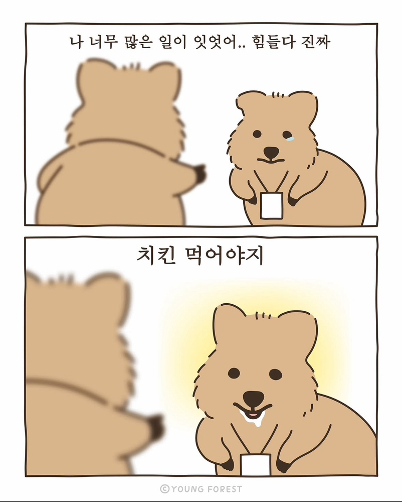 KREAM 프로필 이미지