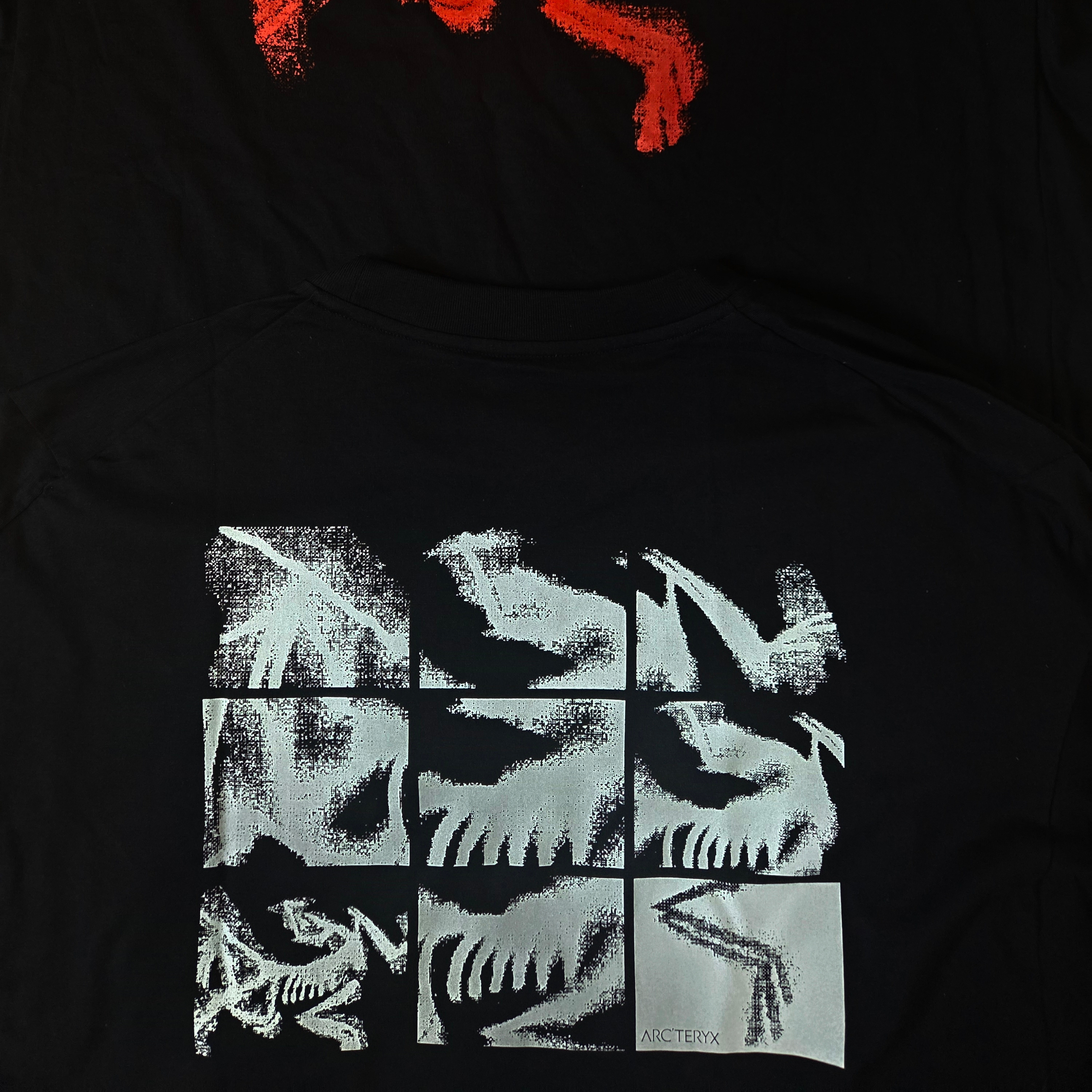 Arc'teryx Kragg SL Cotton Bird Tile LS Shirt Black Arctic Silk 착용 스타일 - 1