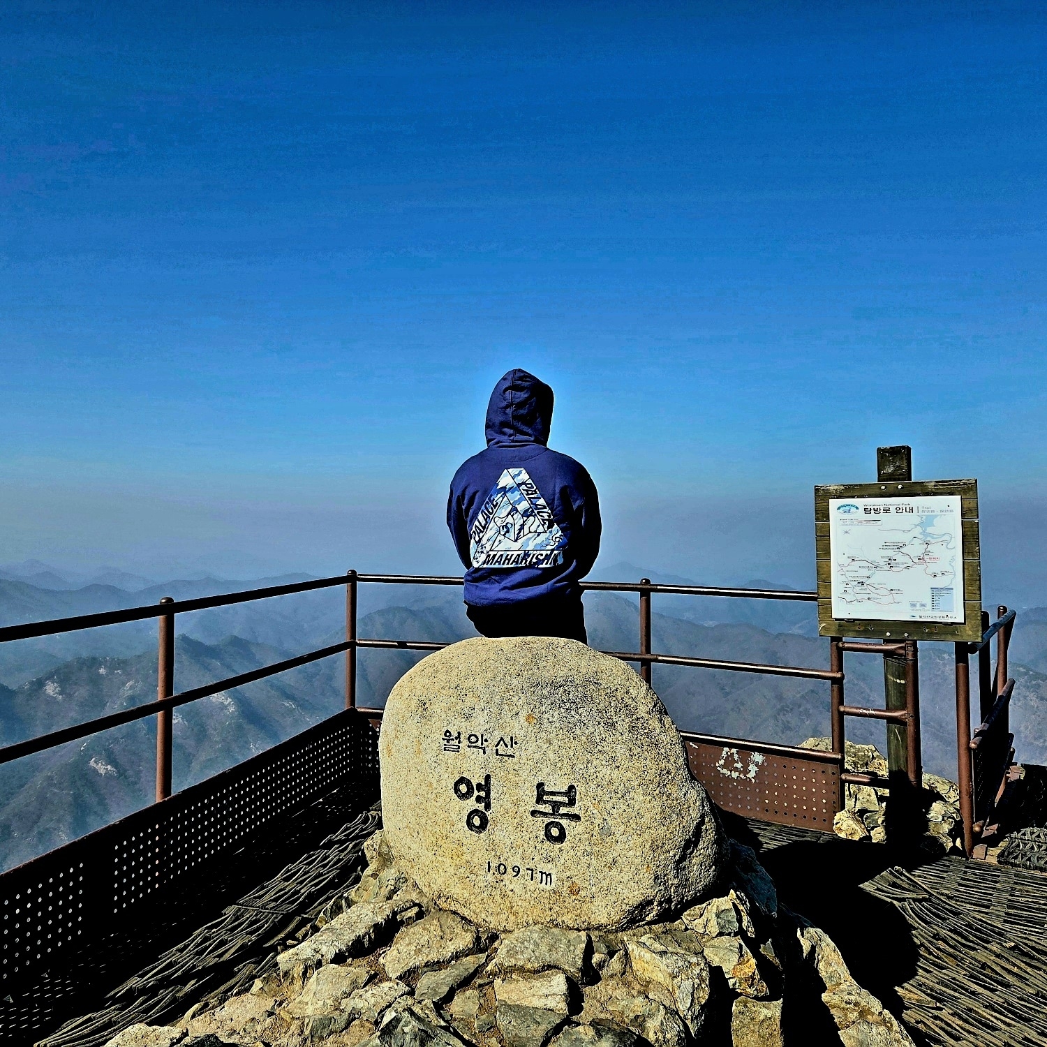 Palace x Maharishi Tri-Bonsai DPM Hood Blue - 25SS 착용 스타일