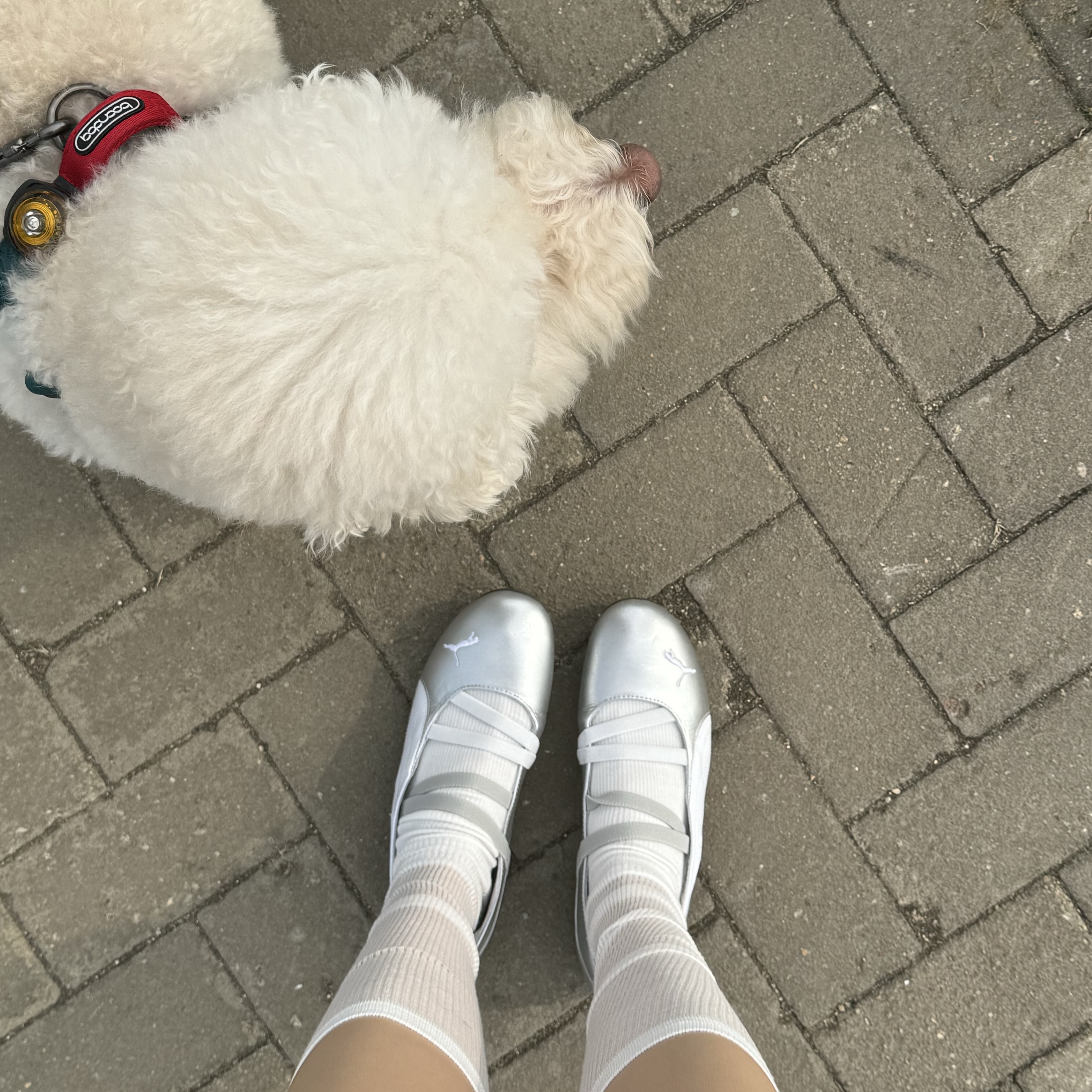 (W) Puma Speedcat Ballet Metallic Puma Silver Puma White 착용 스타일 - 1