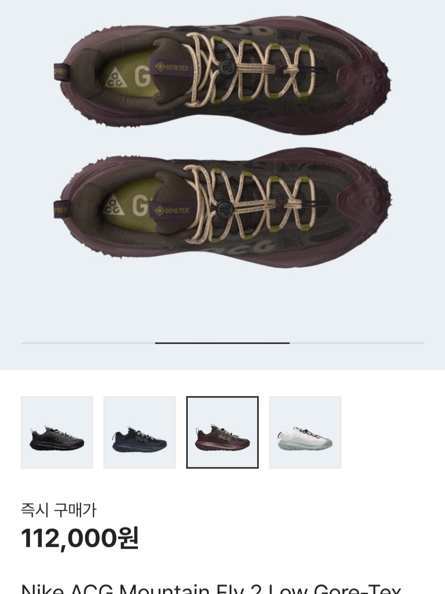 Nike ACG Mountain Fly 2 Low Gore-Tex Black and Dark Smoke Grey 착용 스타일 - 3
