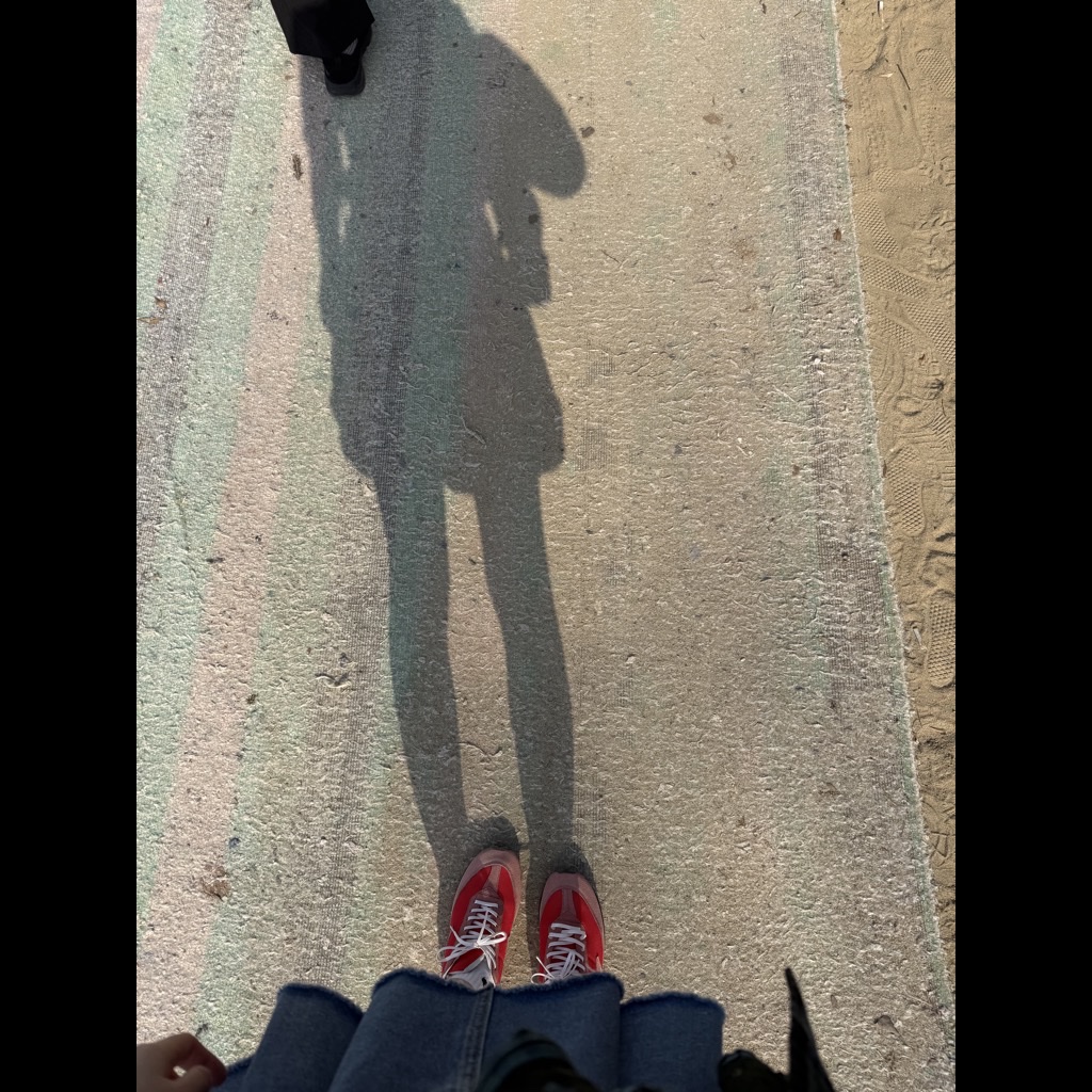 ์์
์ด๋ฏธ์ง