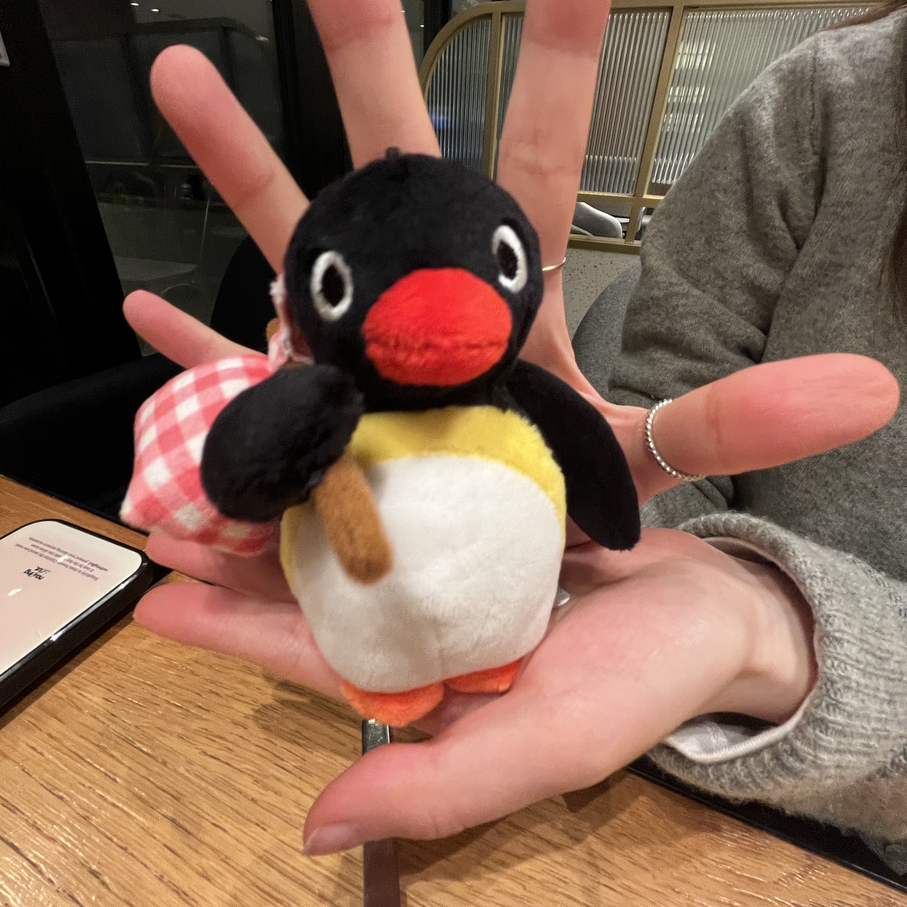 Pingu Body Pillow 착용 스타일