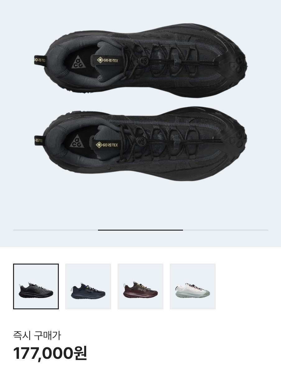 Nike ACG Mountain Fly 2 Low Gore-Tex Black and Dark Smoke Grey 착용 스타일 - 4