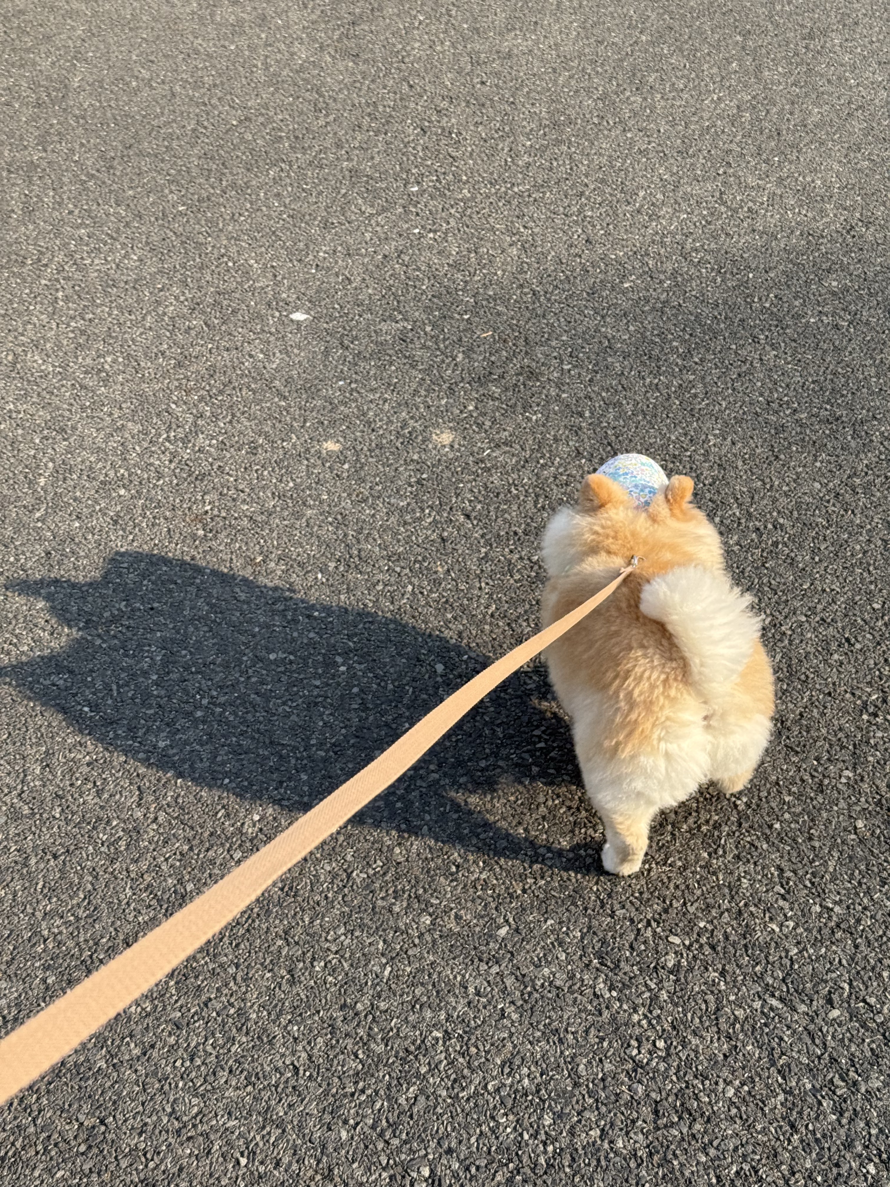 핼둥님의 스타일 - 2