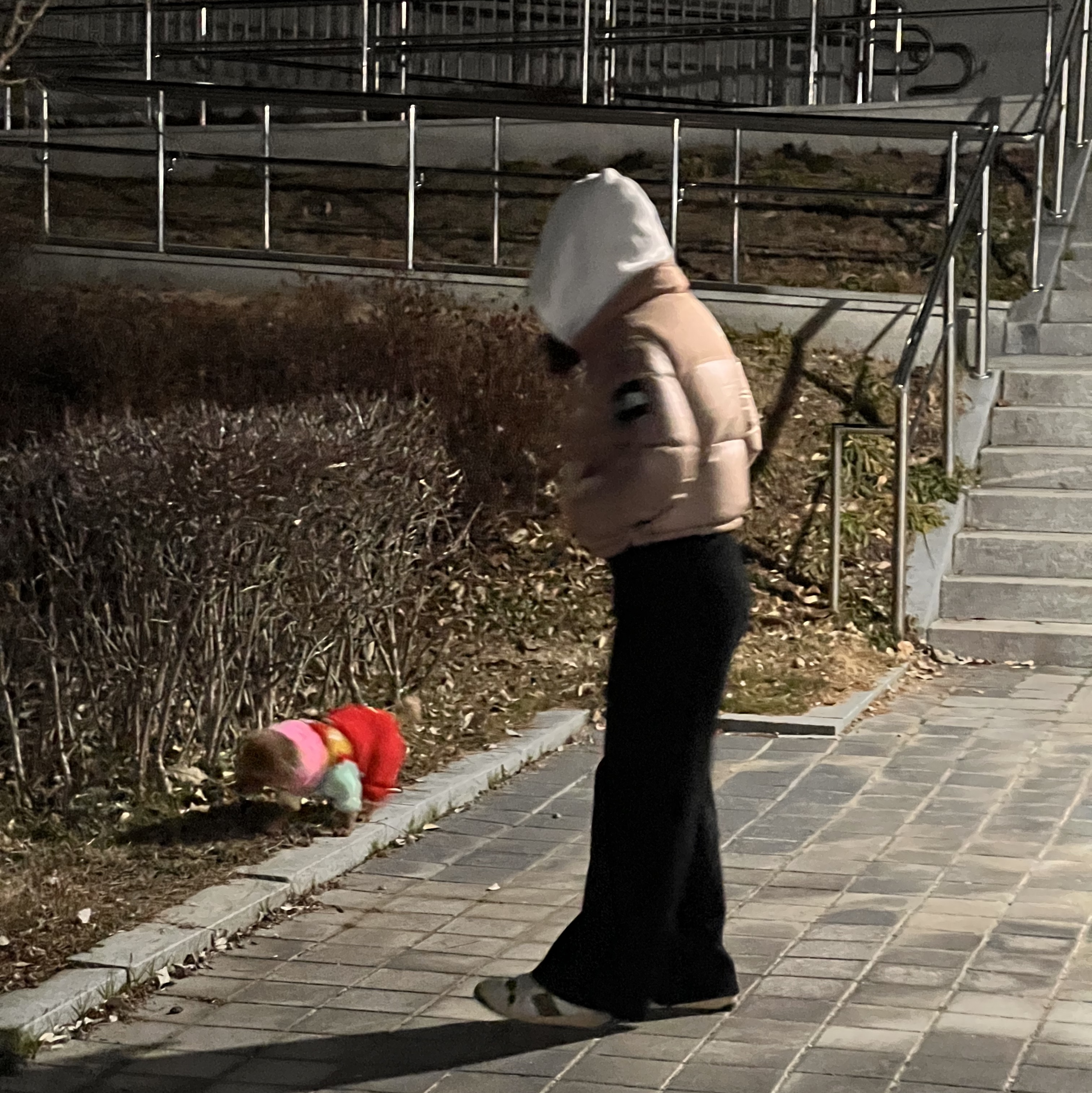 (W) 노스페이스 화이트 라벨 노벨티 눕시 다운 자켓 베이지 브라운, 구찌 스크리너 GG 캔버스 디스트레스드 스니커즈 착용 스타일