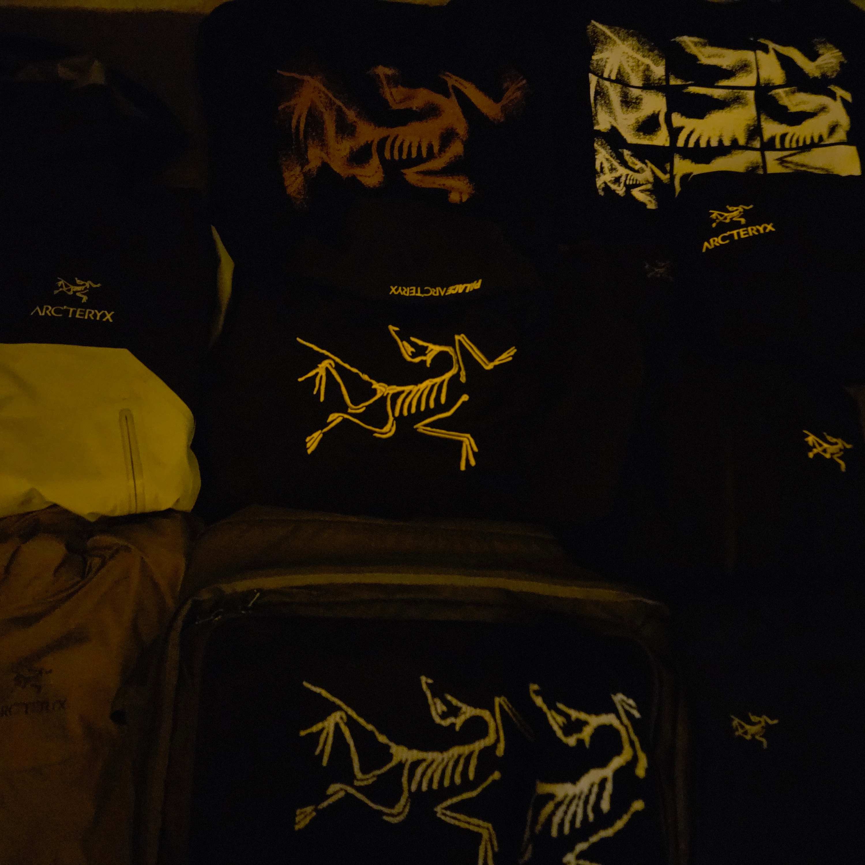 Arc'teryx Beta AR Jacket Black Rune, Arc'teryx LEAF Cold WX Hoody LT Gen 2 Crocodile 착용 스타일