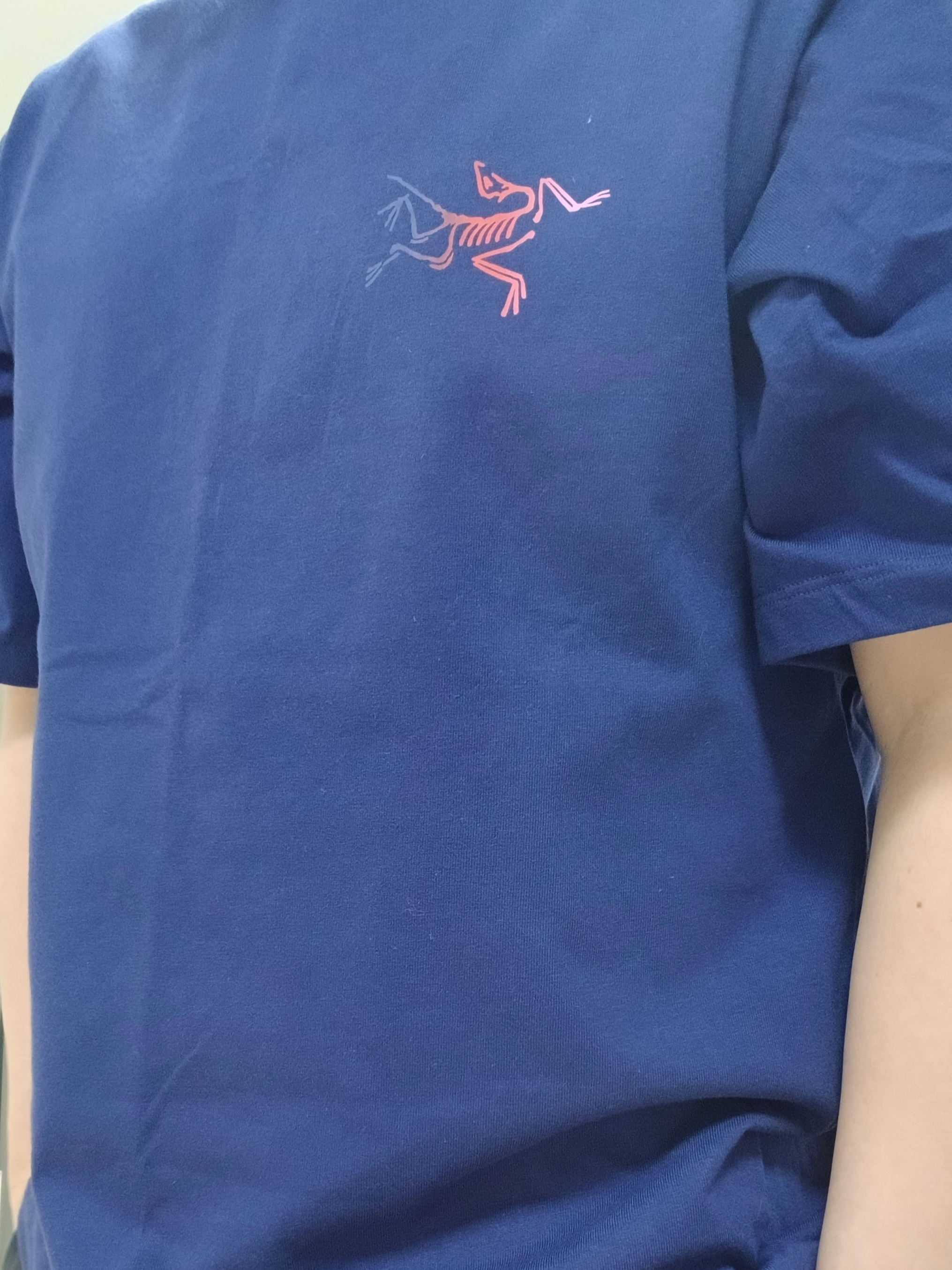 Arc'teryx Kragg Cotton Logo SS T-Shirt Soulsonic Dynasty, Arc'teryx Calvus Cap Black 착용 스타일 - 6