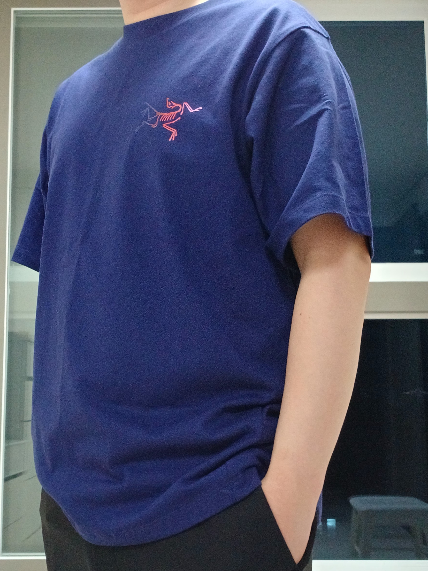 Arc'teryx Kragg Cotton Logo SS T-Shirt Soulsonic Dynasty, Arc'teryx Calvus Cap Black 착용 스타일 - 3