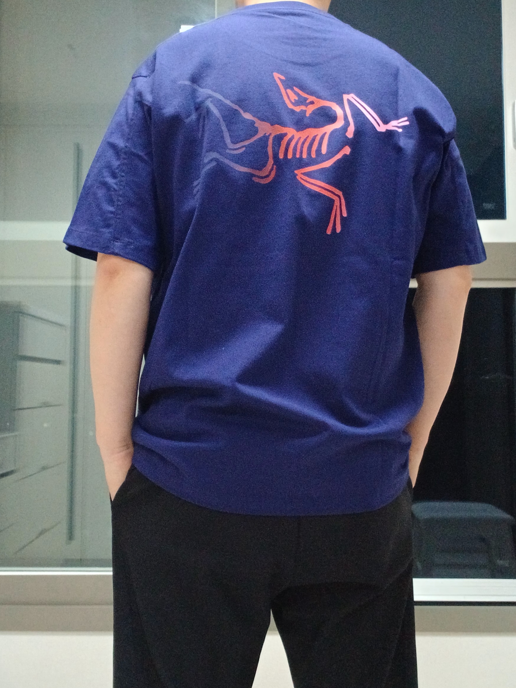 Arc'teryx Kragg Cotton Logo SS T-Shirt Soulsonic Dynasty, Arc'teryx Calvus Cap Black 착용 스타일 - 8