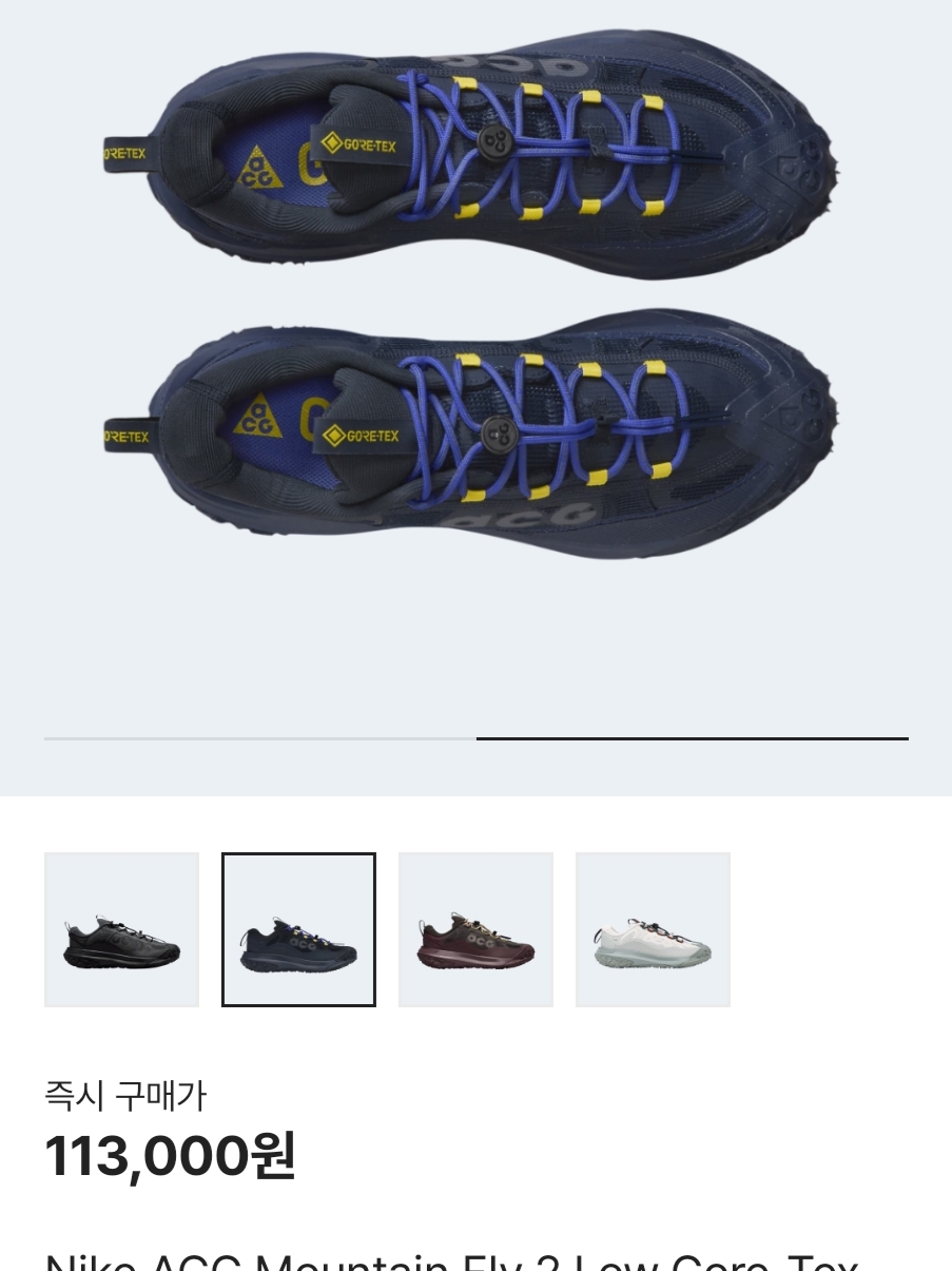 Nike ACG Mountain Fly 2 Low Gore-Tex Black and Dark Smoke Grey 착용 스타일 - 1