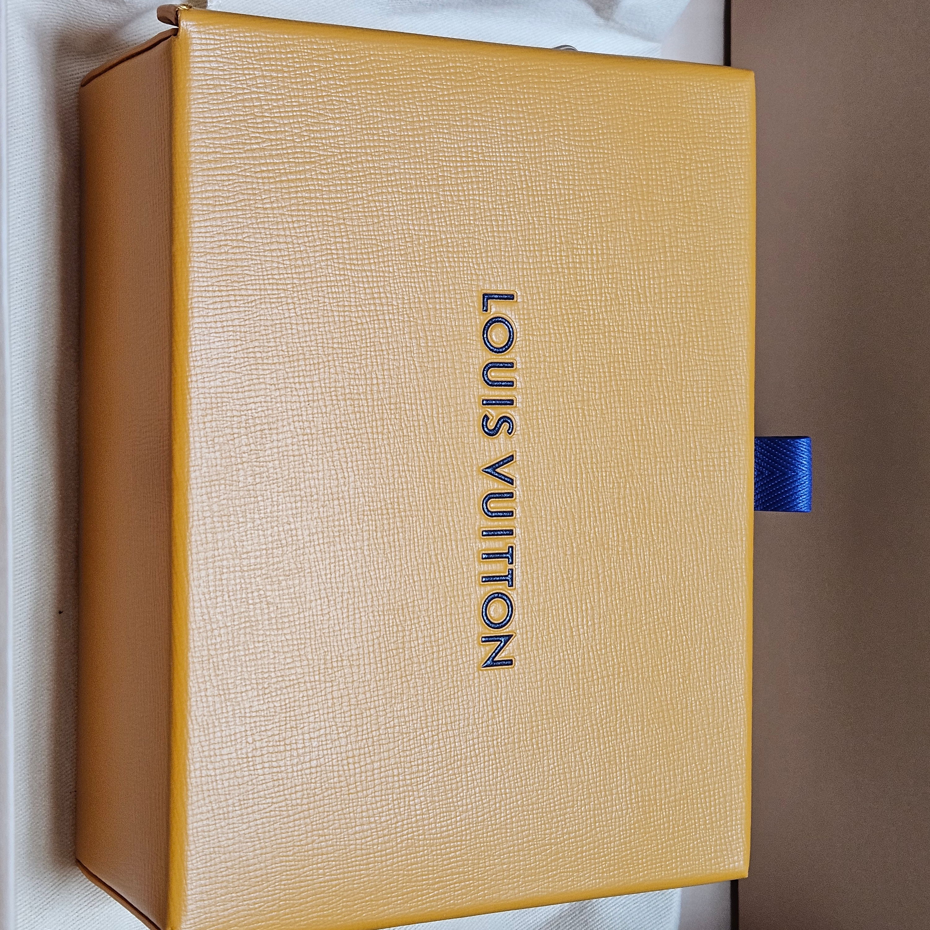 Louis Vuitton Shopper Clutches Saffran 착용 스타일
