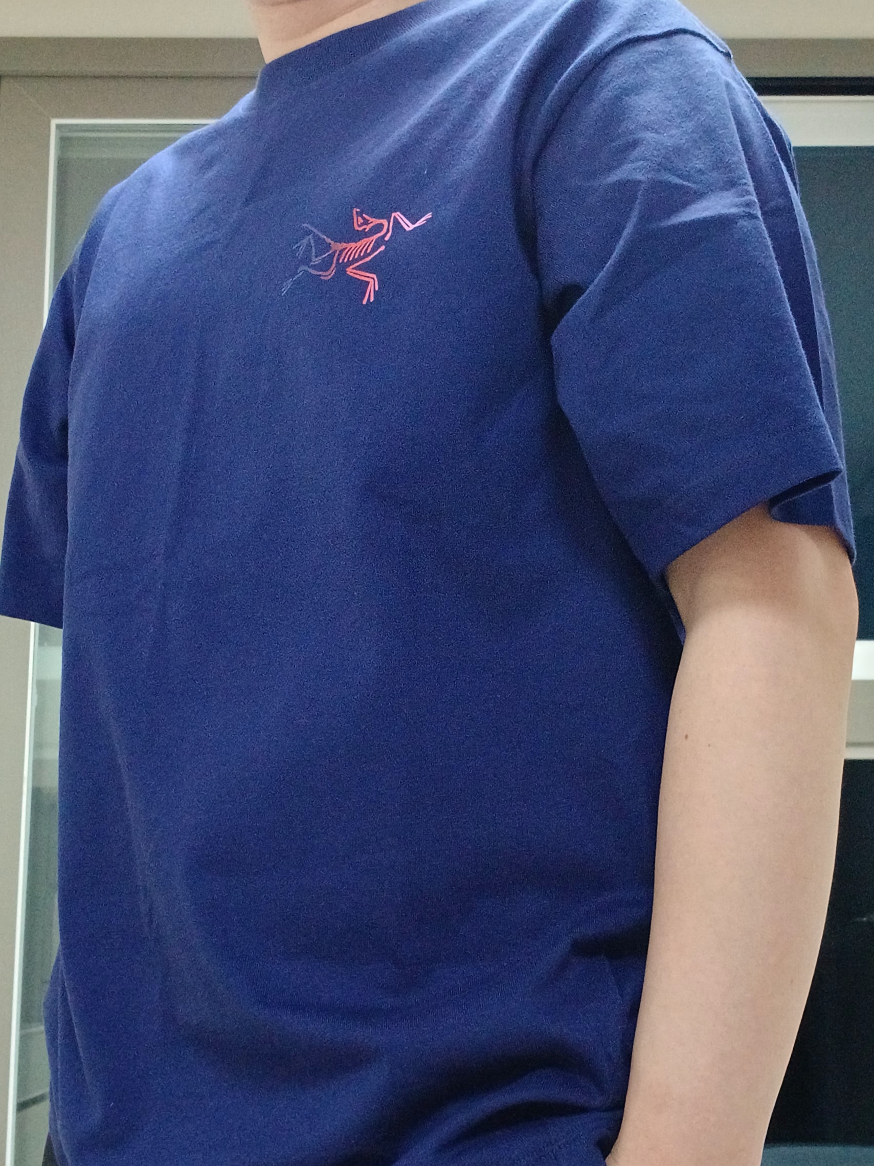 Arc'teryx Kragg Cotton Logo SS T-Shirt Soulsonic Dynasty, Arc'teryx Calvus Cap Black 착용 스타일 - 7
