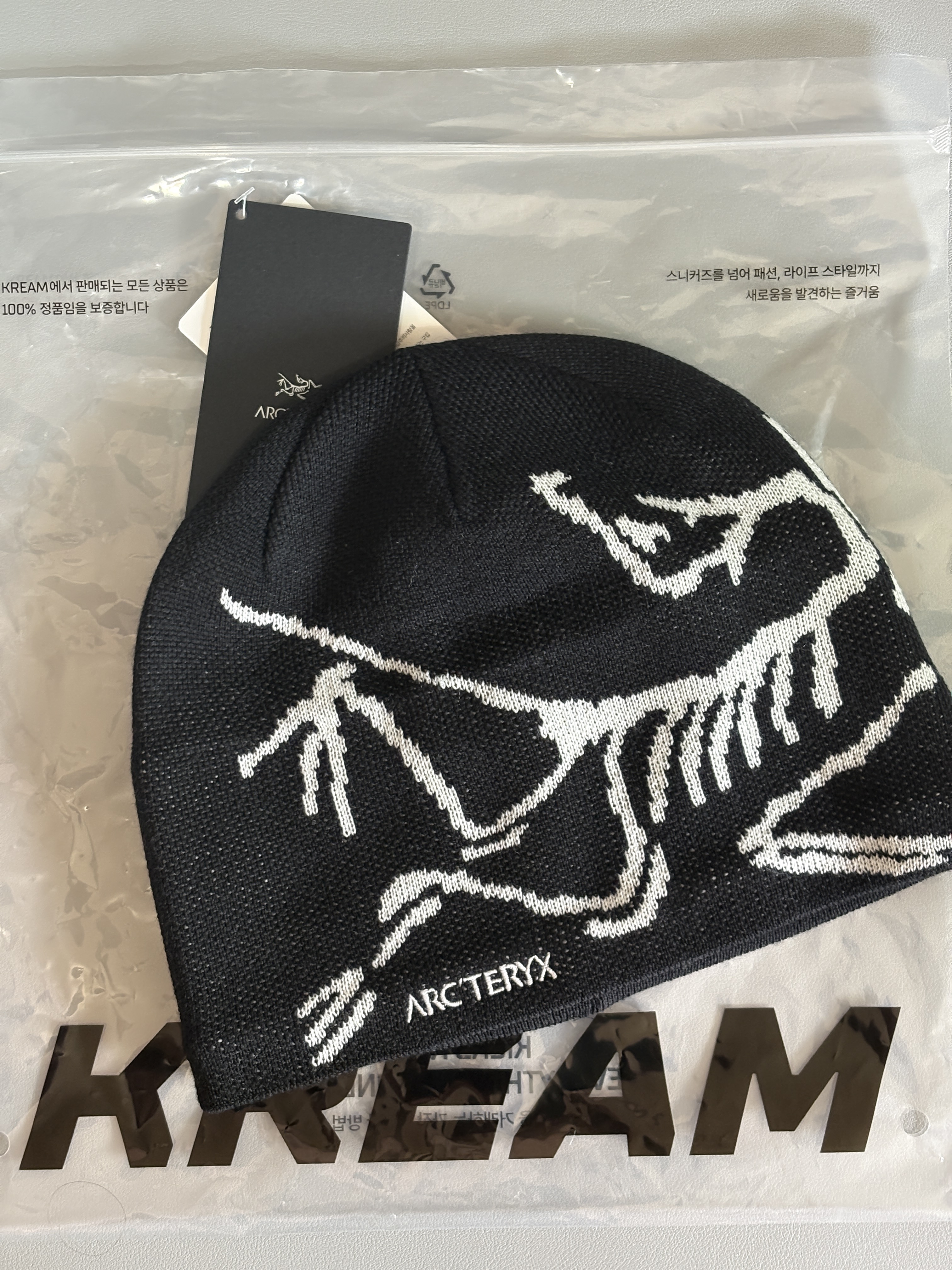 Arc'teryx Bird Head Toque Orca 착용 스타일