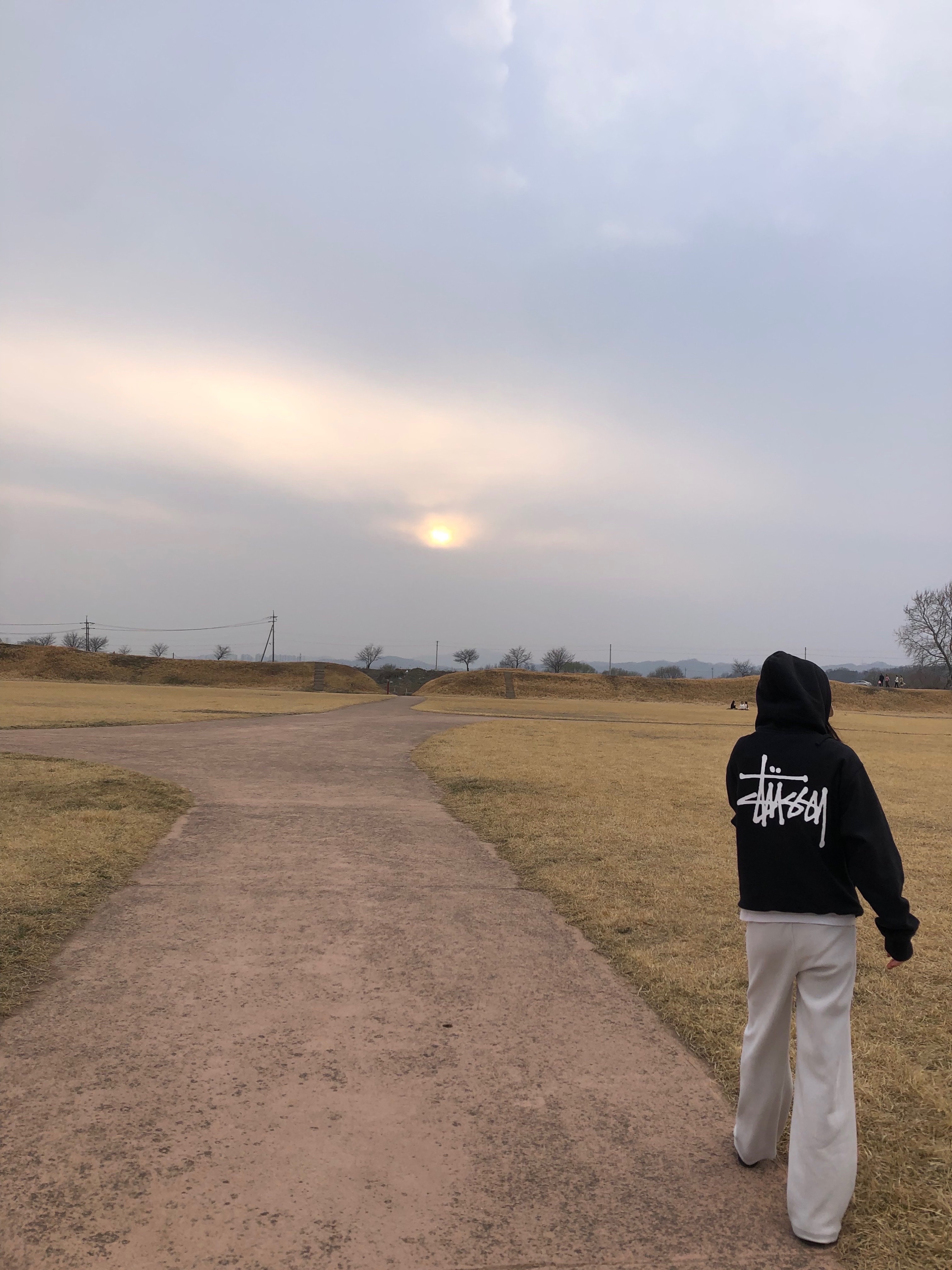 Stussy Basic Stussy Hoodie Black 착용 스타일