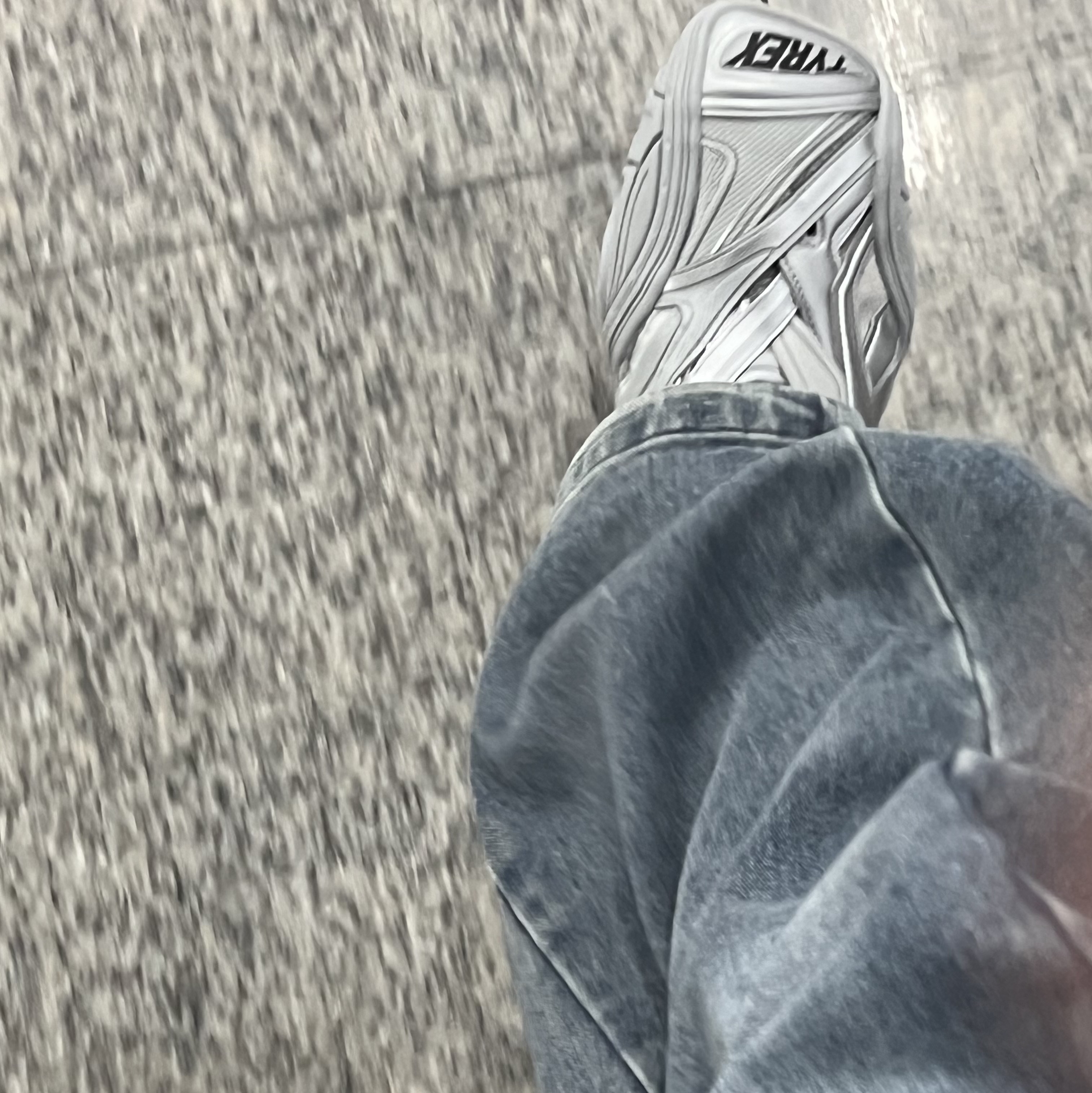 Balenciaga Tyrex Sneakers Silver 착용 스타일