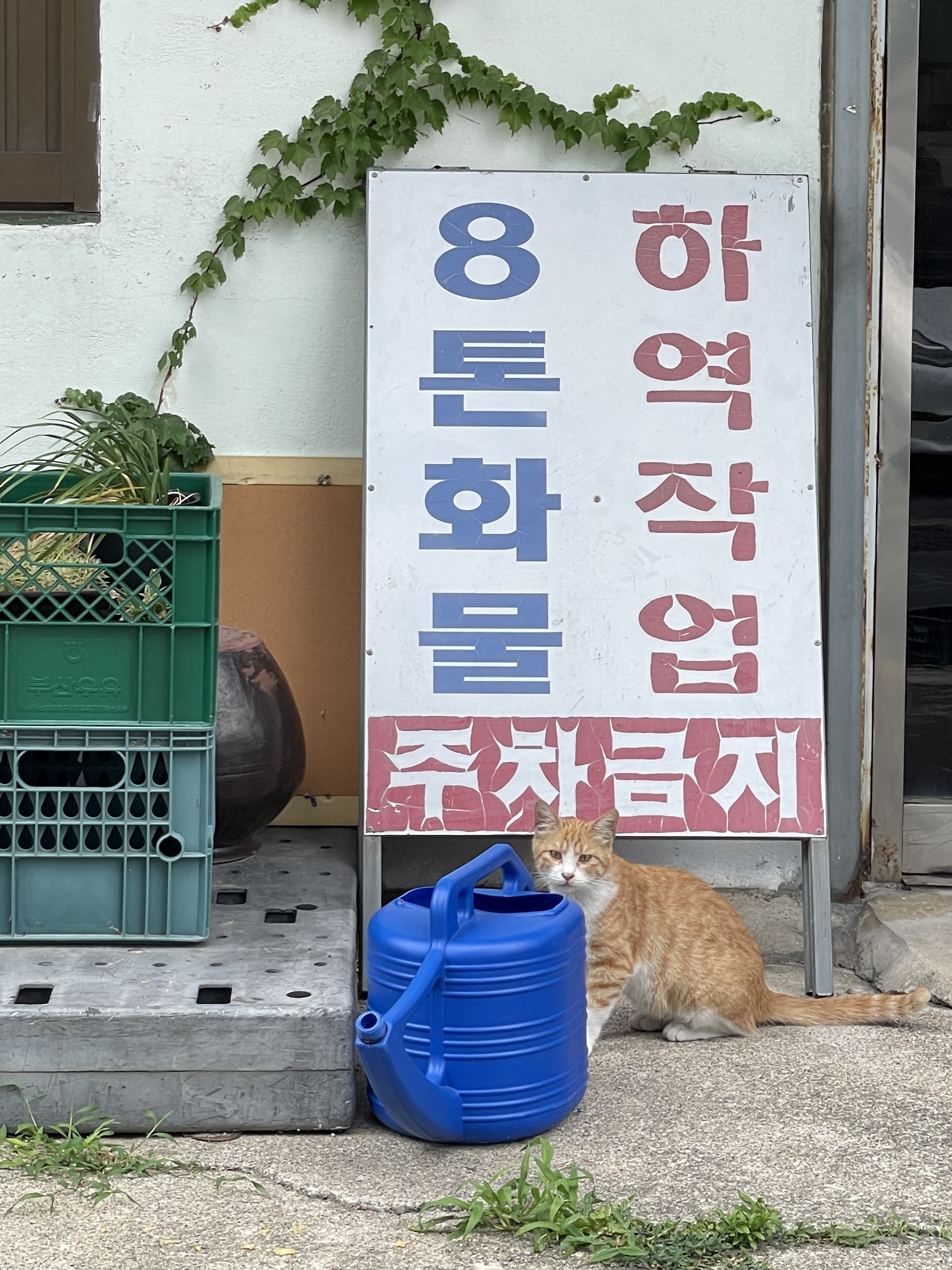 On Running Cloud X 3 Mist Rock 착용 스타일 - 1