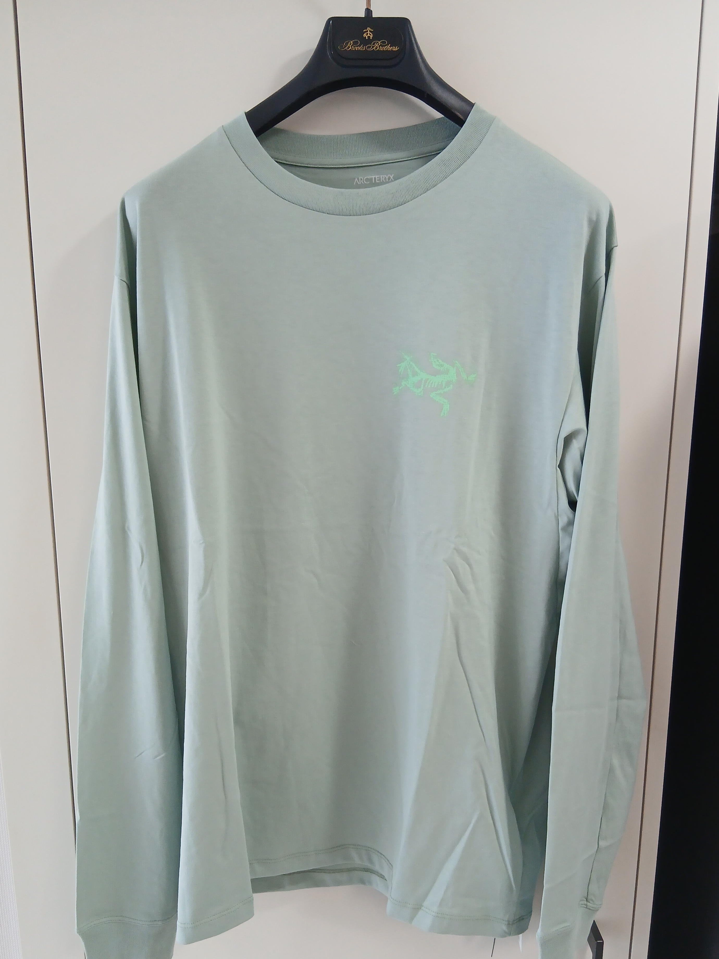 Arc'teryx Kragg SL Cotton Bird Tile LS Shirt Stone Green Phosphorescent 착용 스타일 - 3