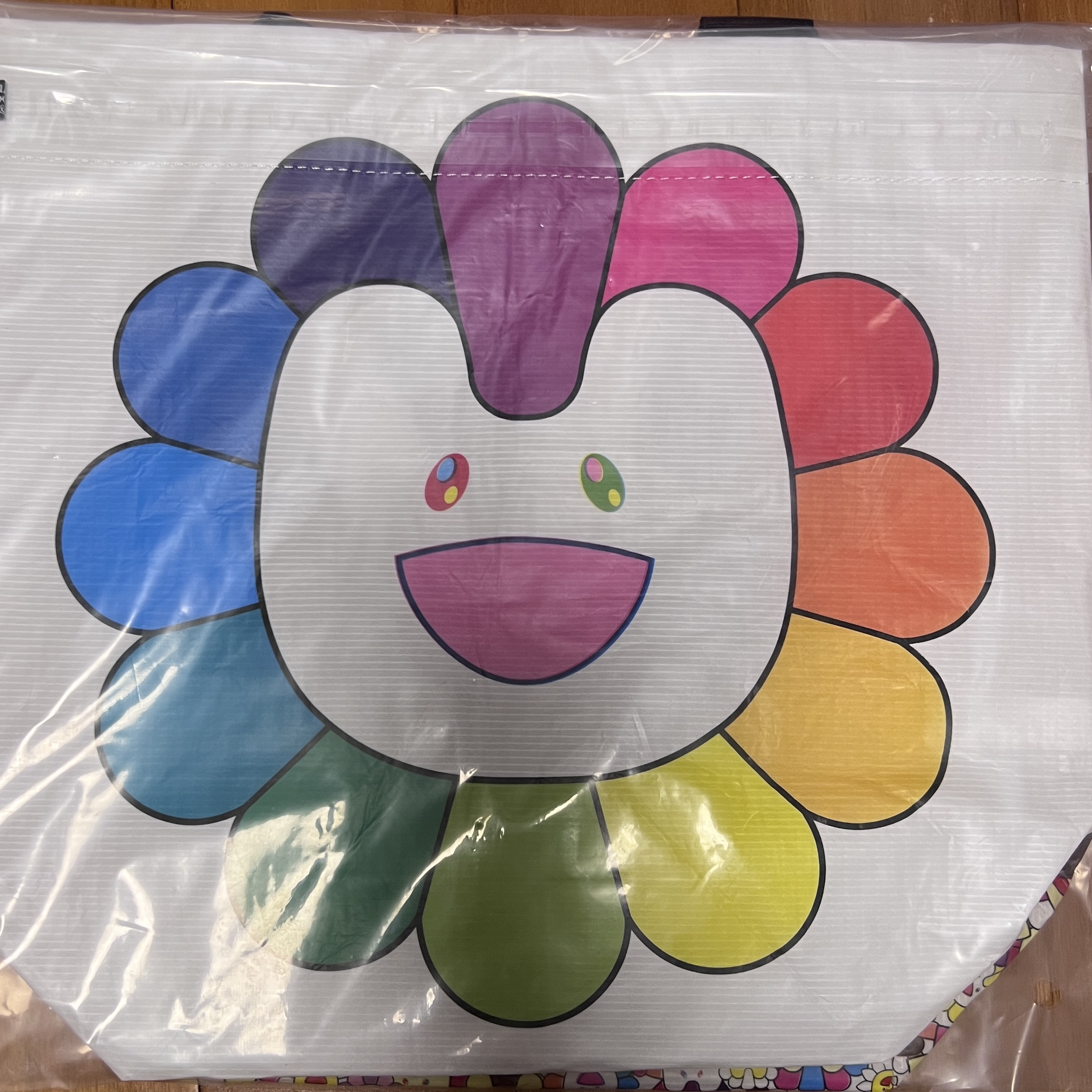 NewJeans x Murakami Medium Reusable Bag 착용 스타일