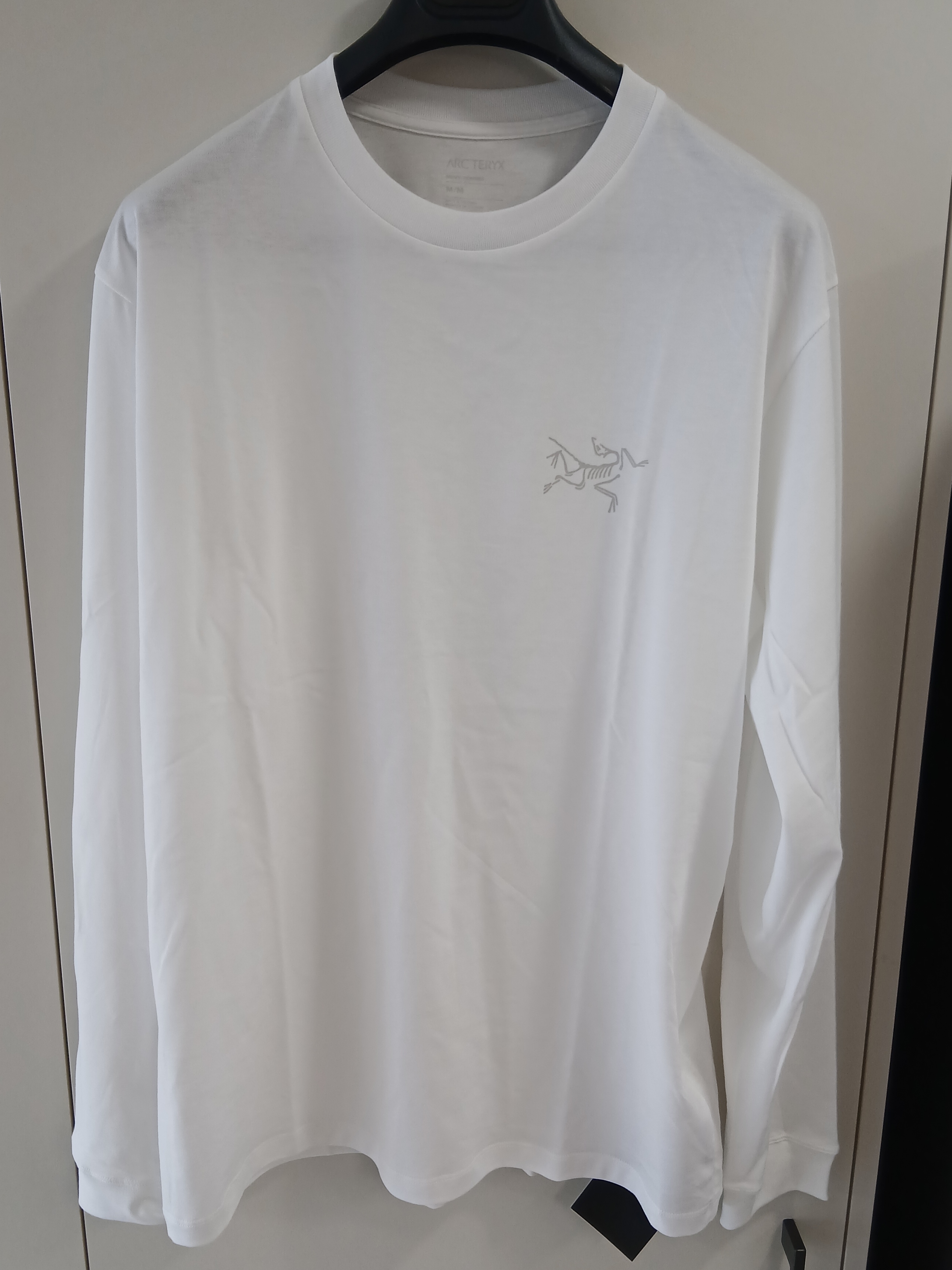 Arc'teryx Kragg SL Cotton LS Shirt White Light 착용 스타일 - 1