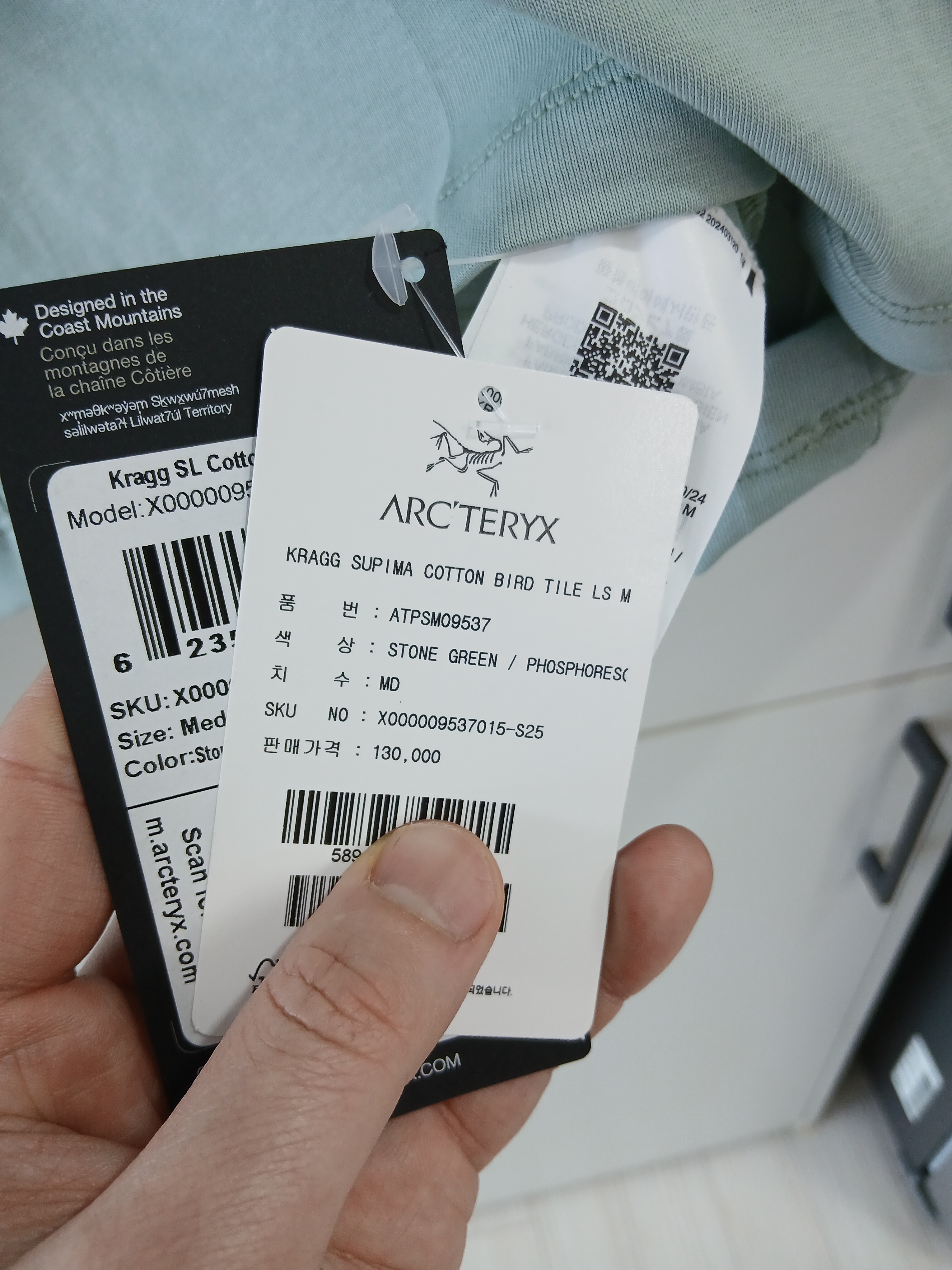 Arc'teryx Kragg SL Cotton Bird Tile LS Shirt Stone Green Phosphorescent 착용 스타일 - 4