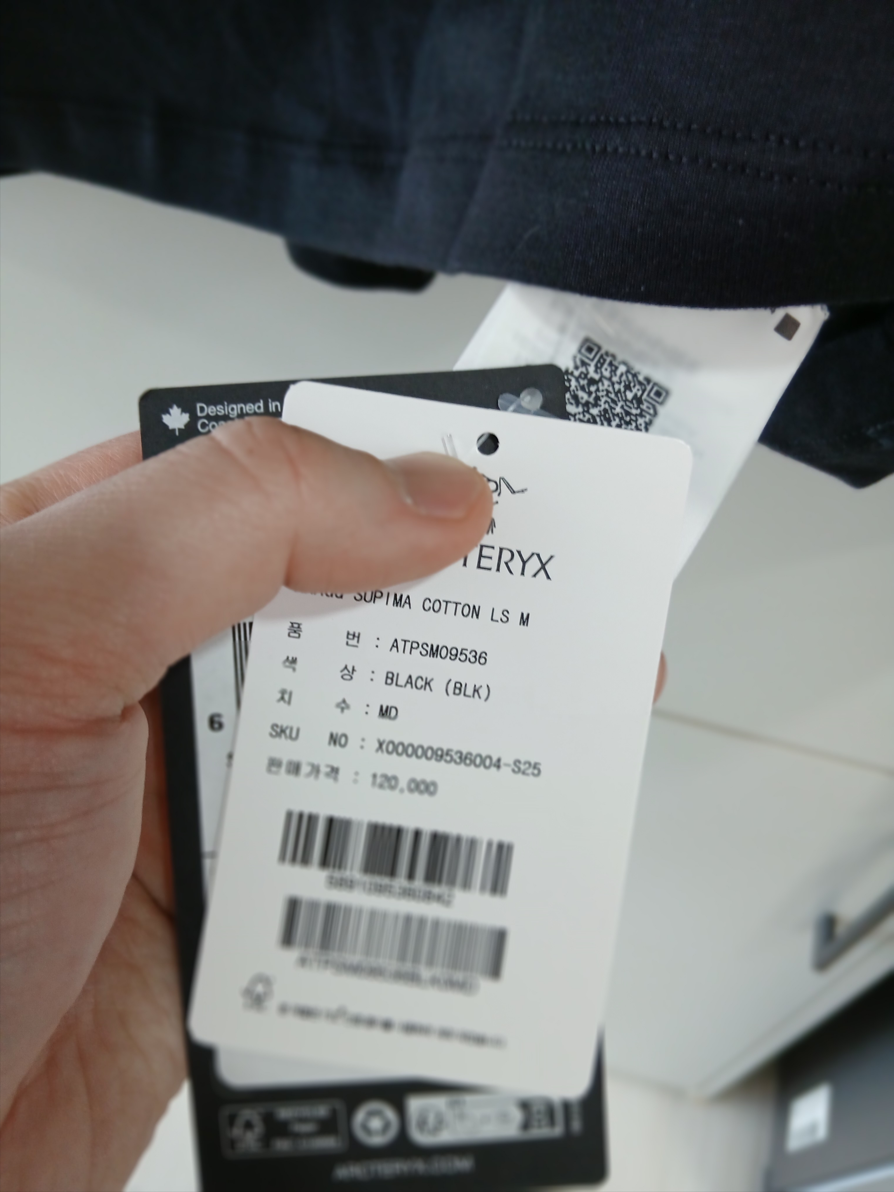 Arc'teryx Kragg SL Cotton LS Shirt Black 착용 스타일 - 4