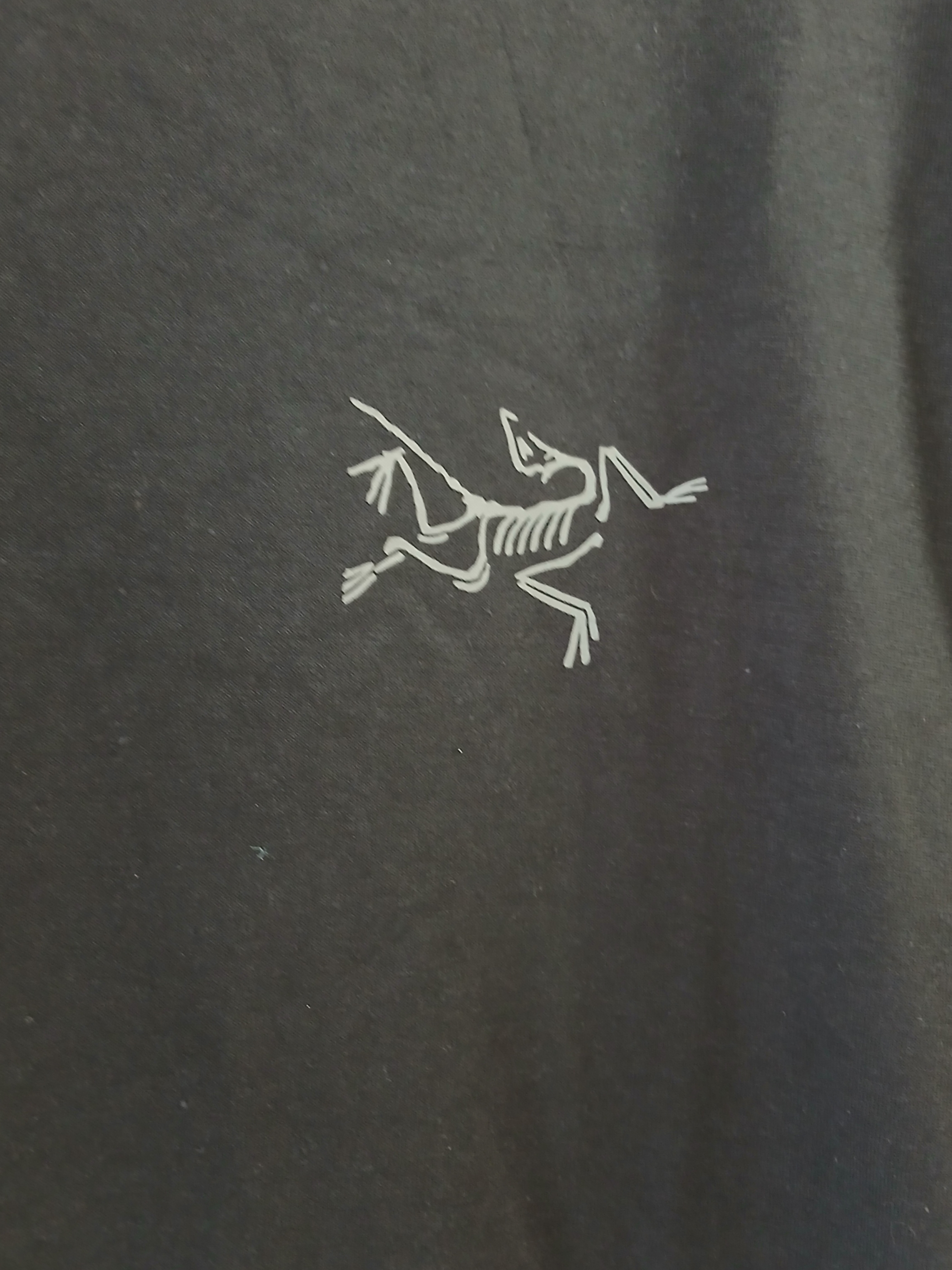 Arc'teryx Kragg SL Cotton LS Shirt Black 착용 스타일 - 3