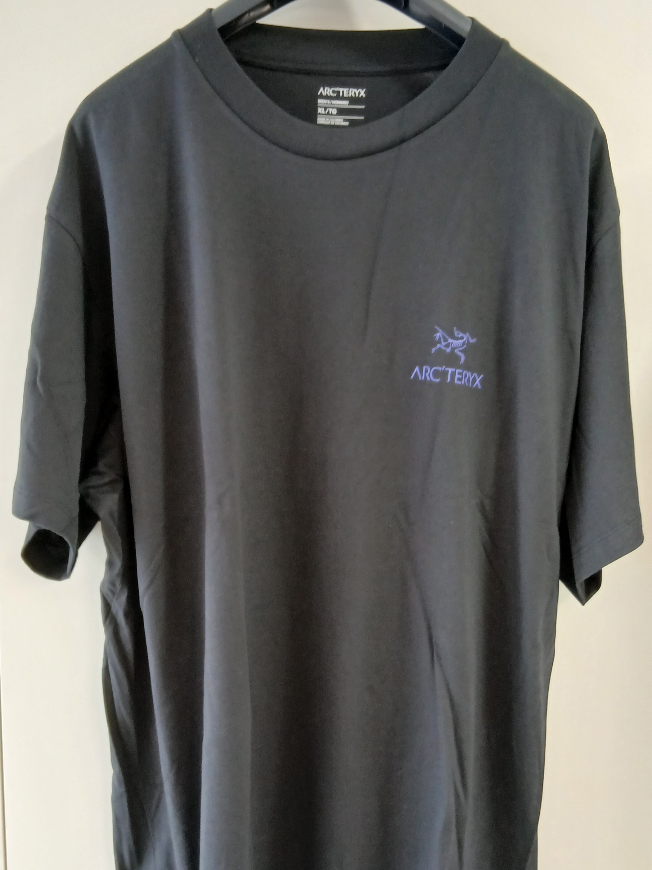 Arc'teryx Kragg SL Cotton Bird Word SS T-Shirt Black Electra 착용 스타일 - 2