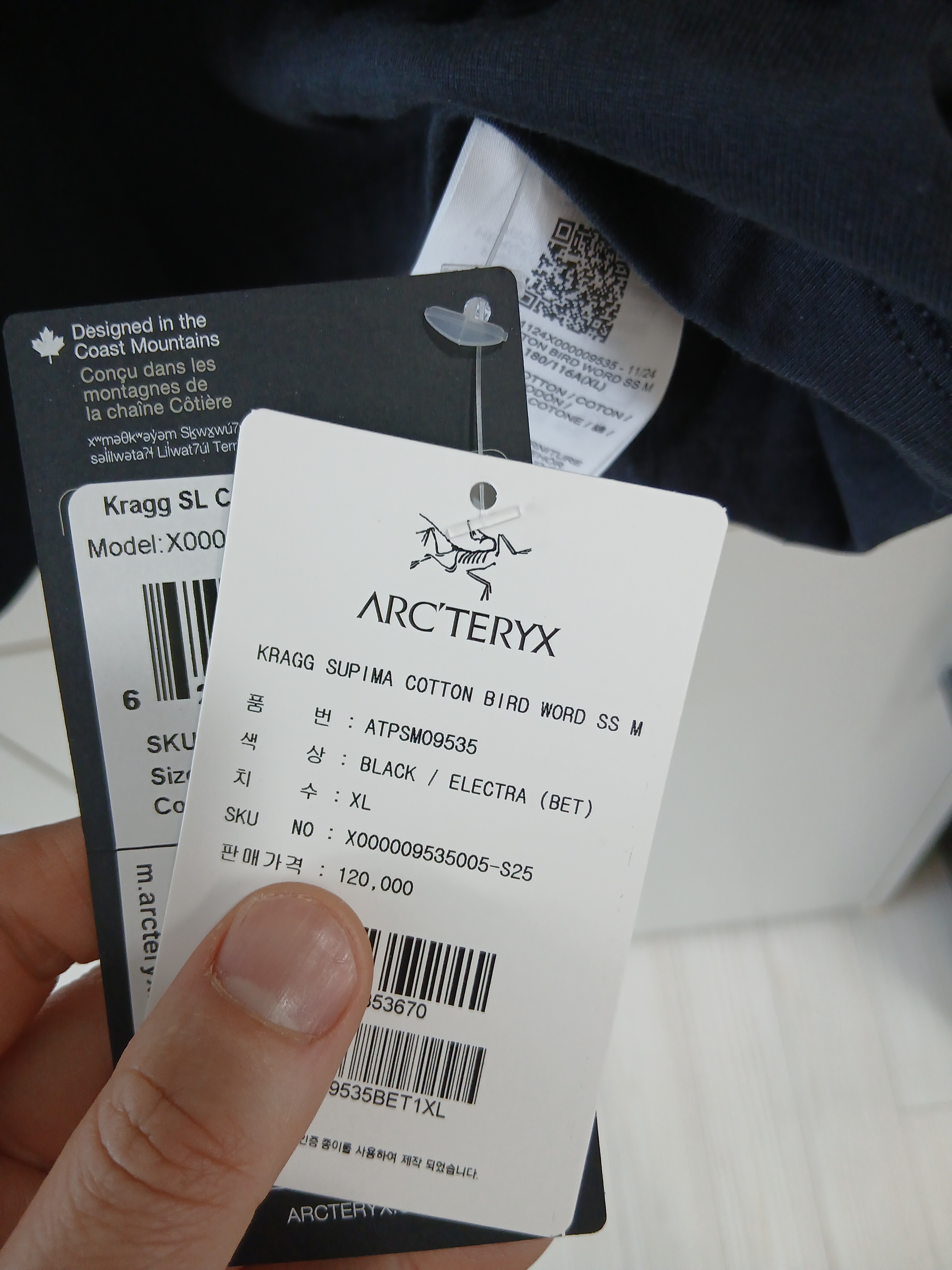 Arc'teryx Kragg SL Cotton Bird Word SS T-Shirt Black Electra 착용 스타일 - 3