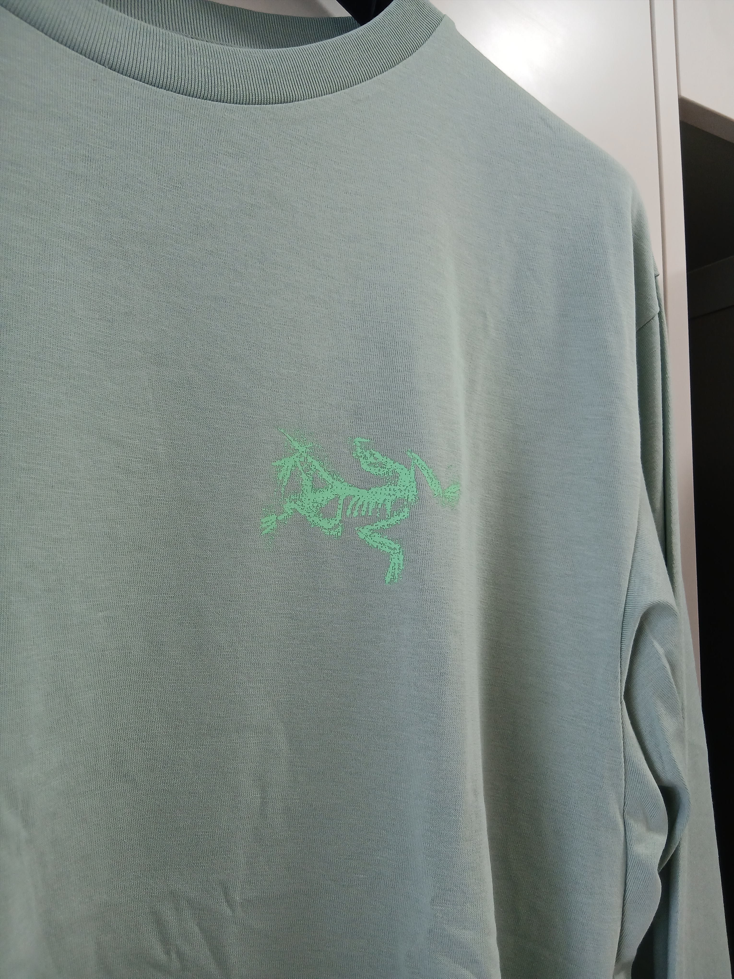 Arc'teryx Kragg SL Cotton Bird Tile LS Shirt Stone Green Phosphorescent 착용 스타일 - 2