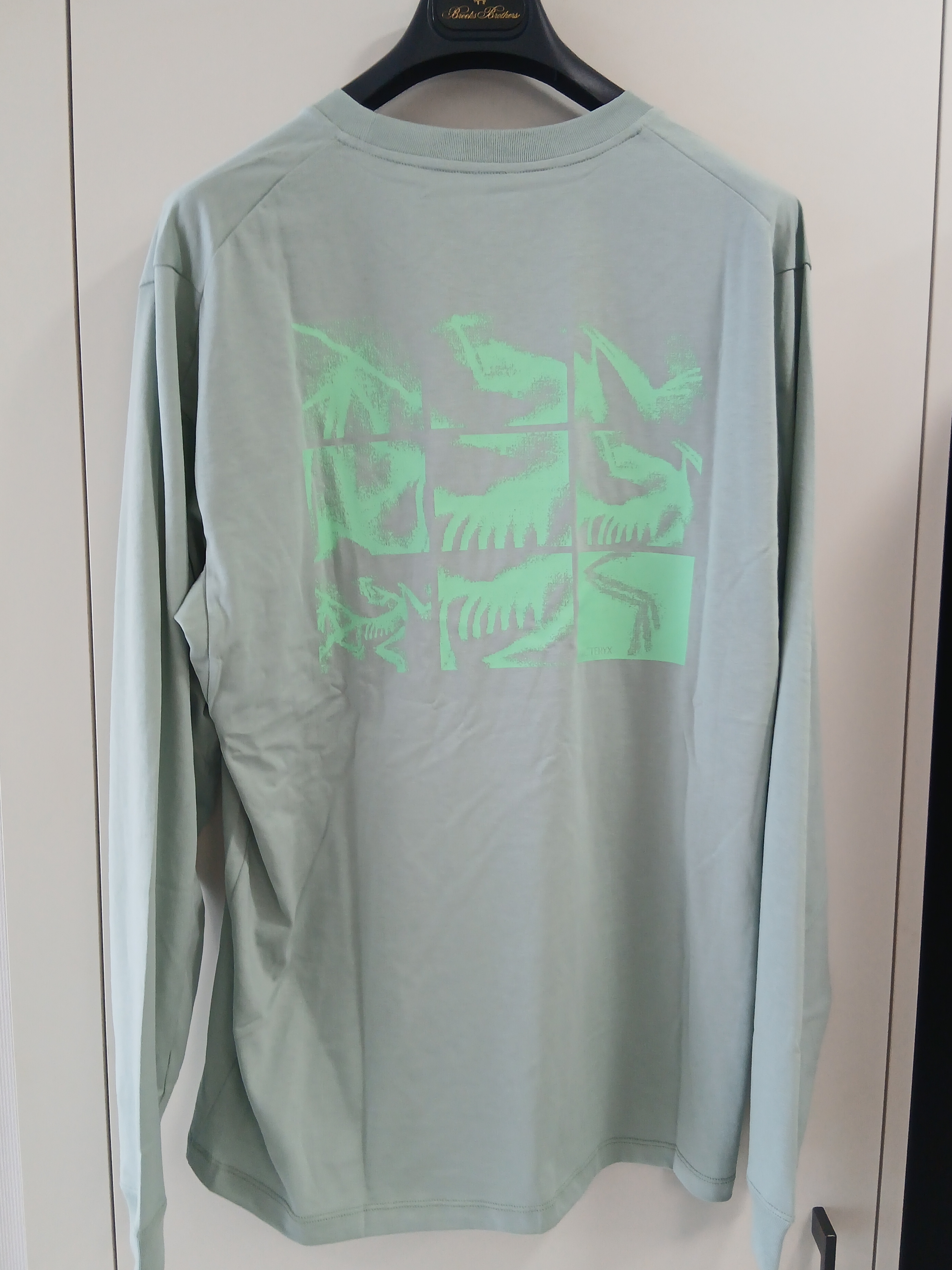 Arc'teryx Kragg SL Cotton Bird Tile LS Shirt Stone Green Phosphorescent 착용 스타일 - 1