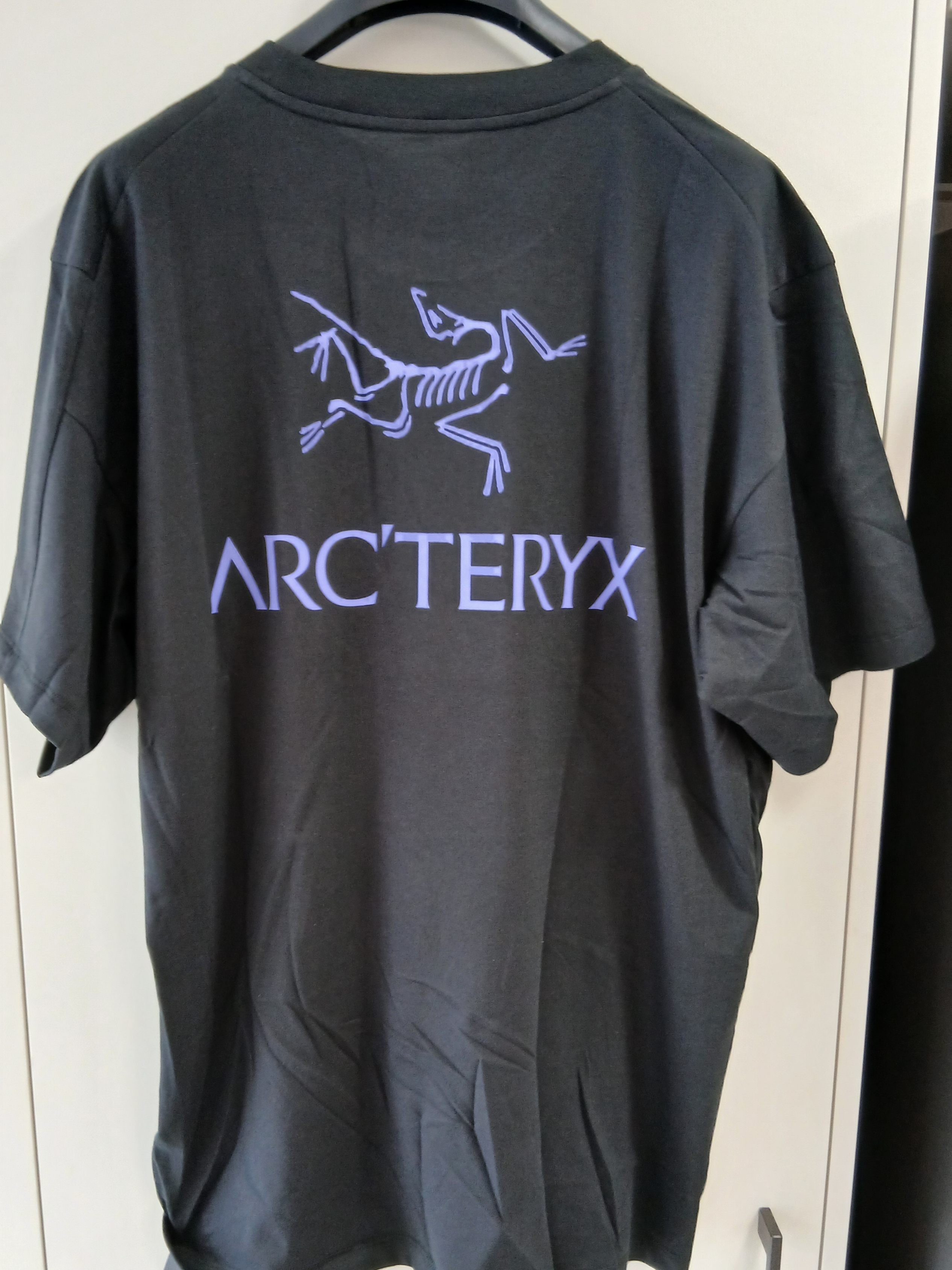 Arc'teryx Kragg SL Cotton Bird Word SS T-Shirt Black Electra 착용 스타일 - 1