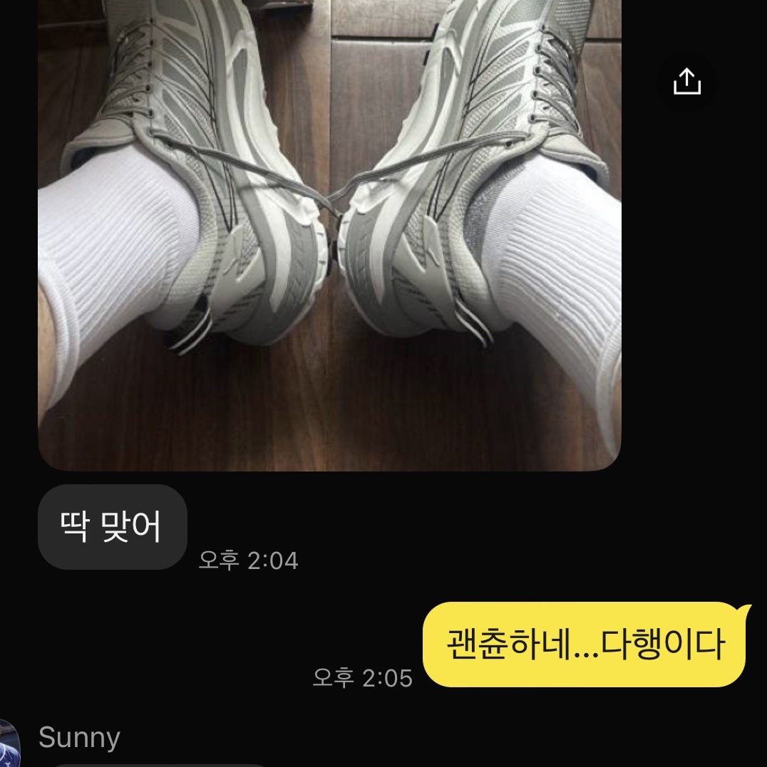 Hoka Mafate Speed 2 Stellar Grey Galactic Grey 착용 스타일