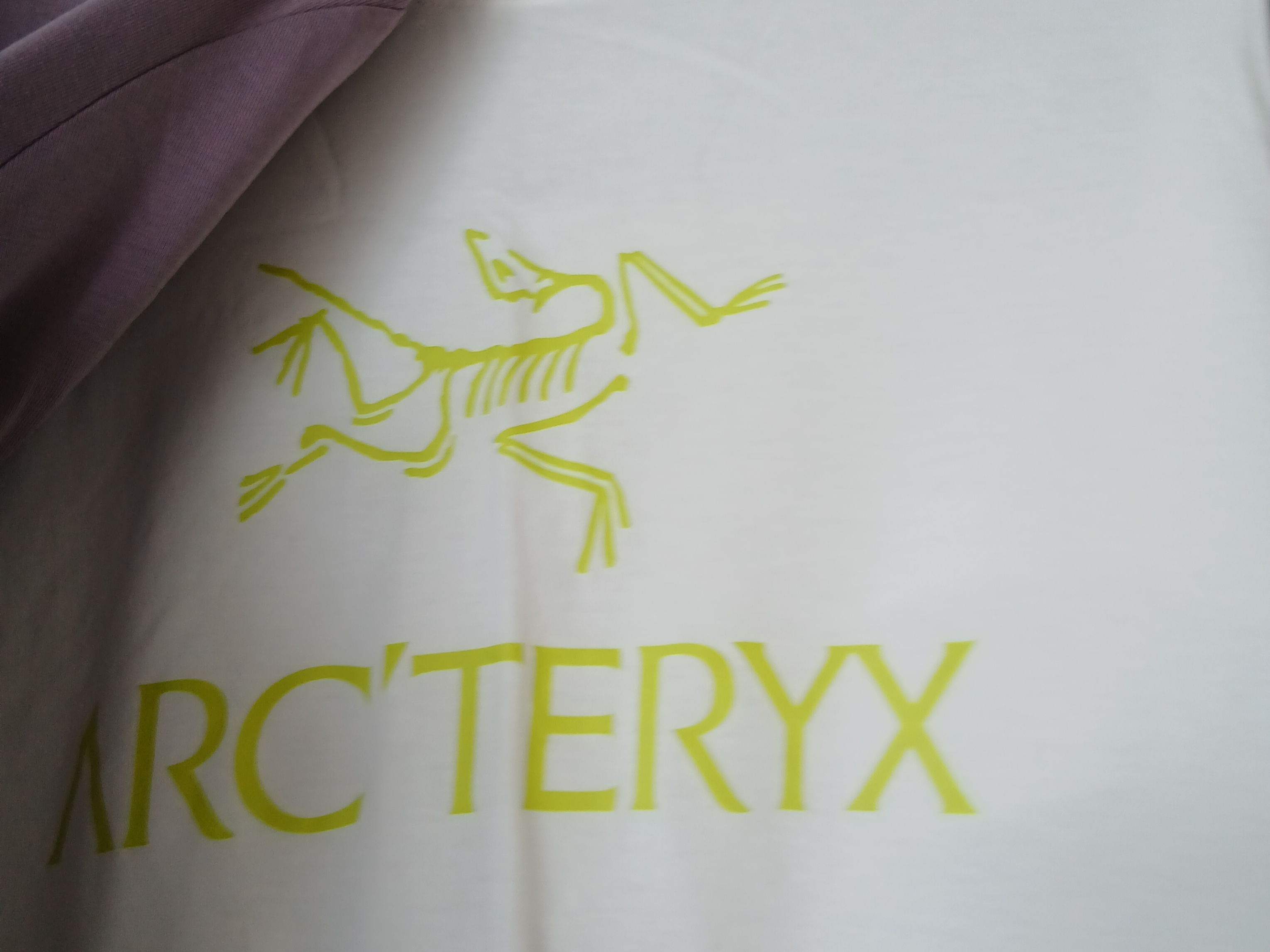 Arc'teryx Arc'word Logo SS T-Shirt Black II, Arc'teryx Arc'word Logo SS T-Shirt Black 착용 스타일 - 6