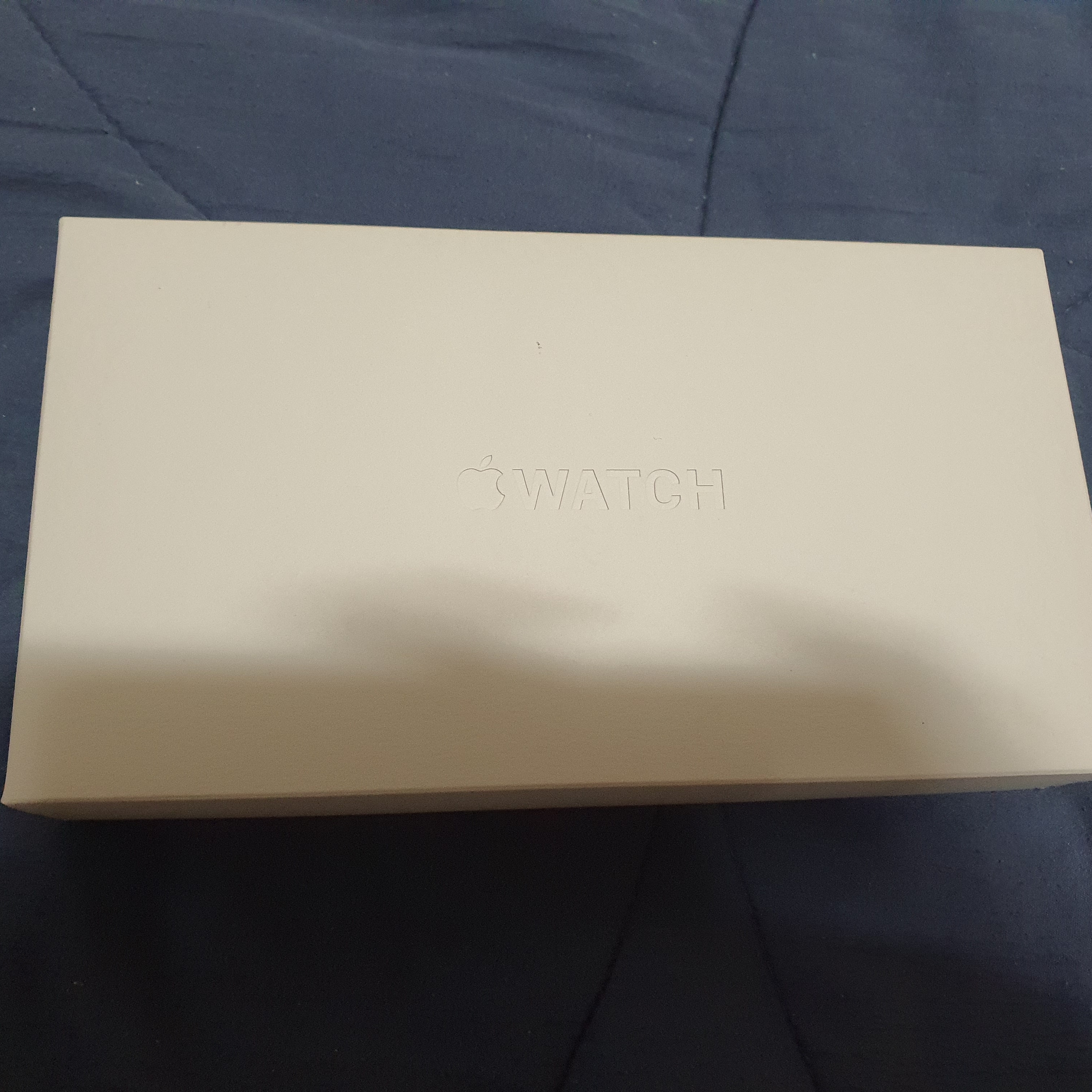 Apple Watch Ultra 2 49mm Titanium Case with Ocean Band Blue (Korean Ver.) 착용 스타일 - 1